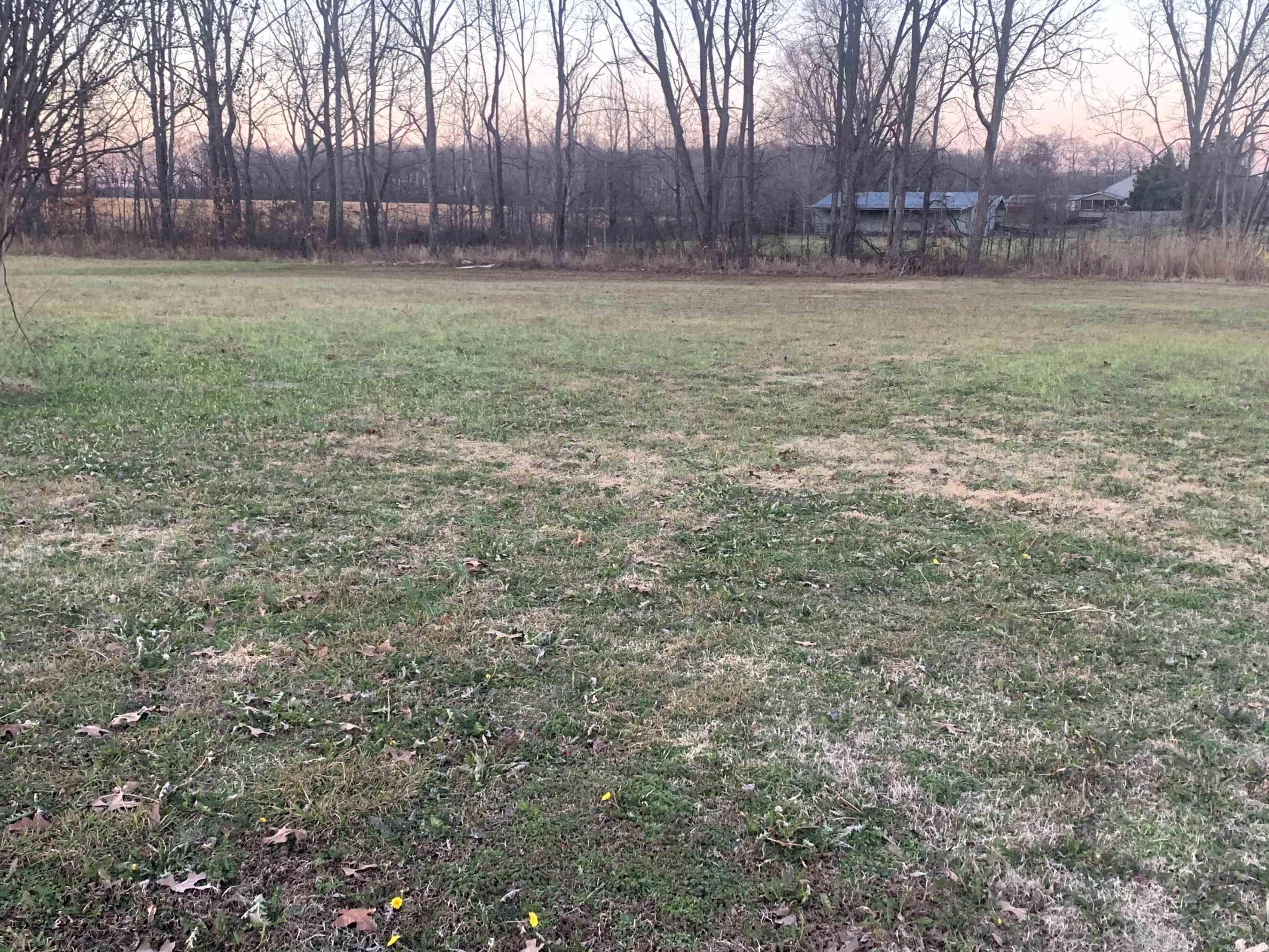 7124 Ar Hwy 86 Property Photo 5