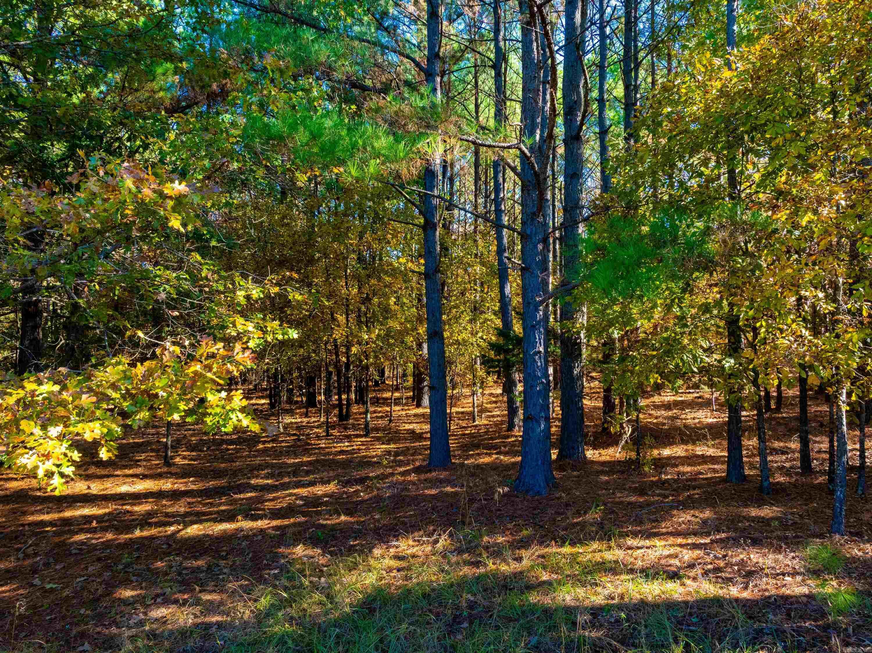 519 Jackson 347 Property Photo 32