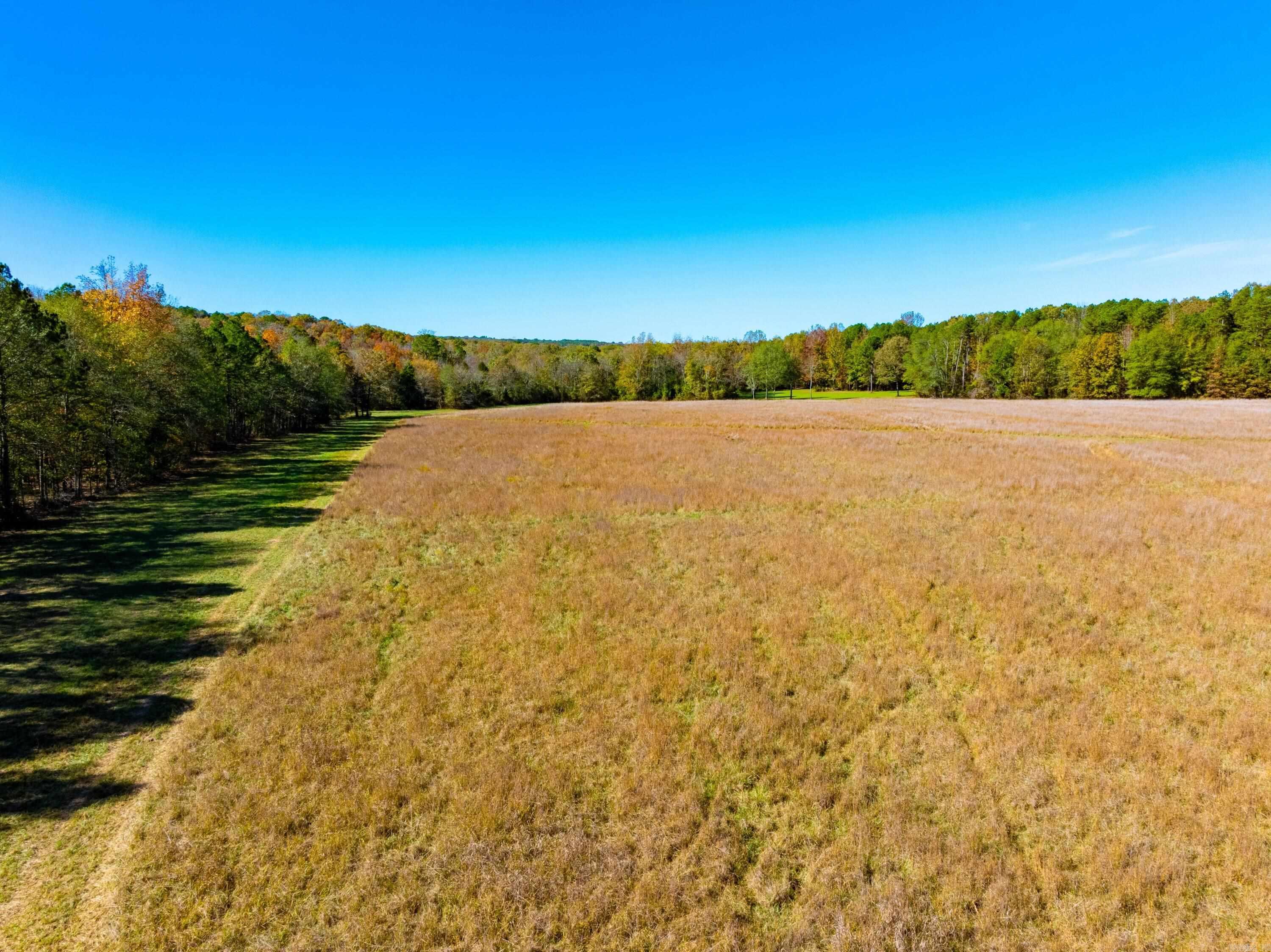519 Jackson 347 Property Photo 44