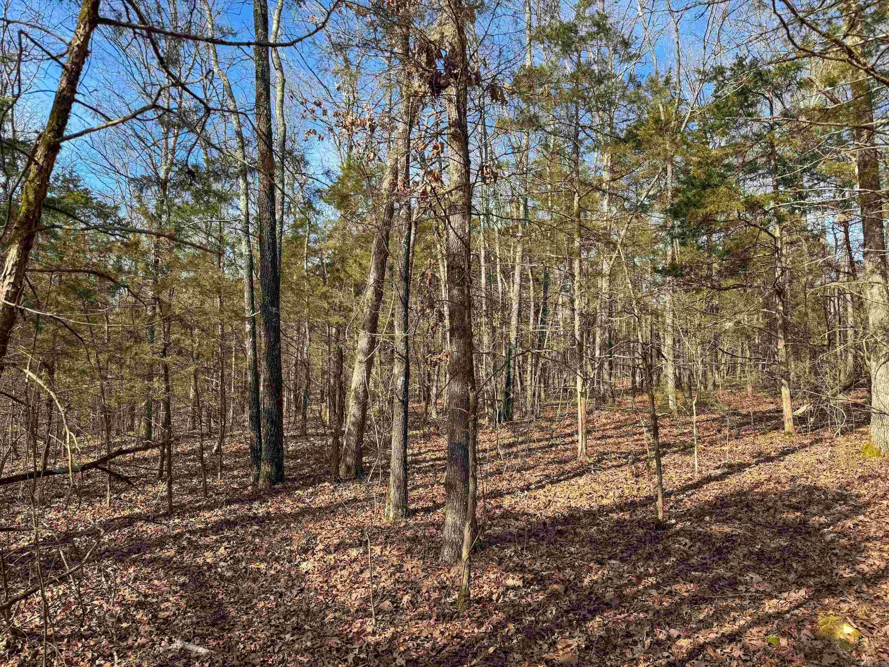 170 Enders Road Property Photo 13