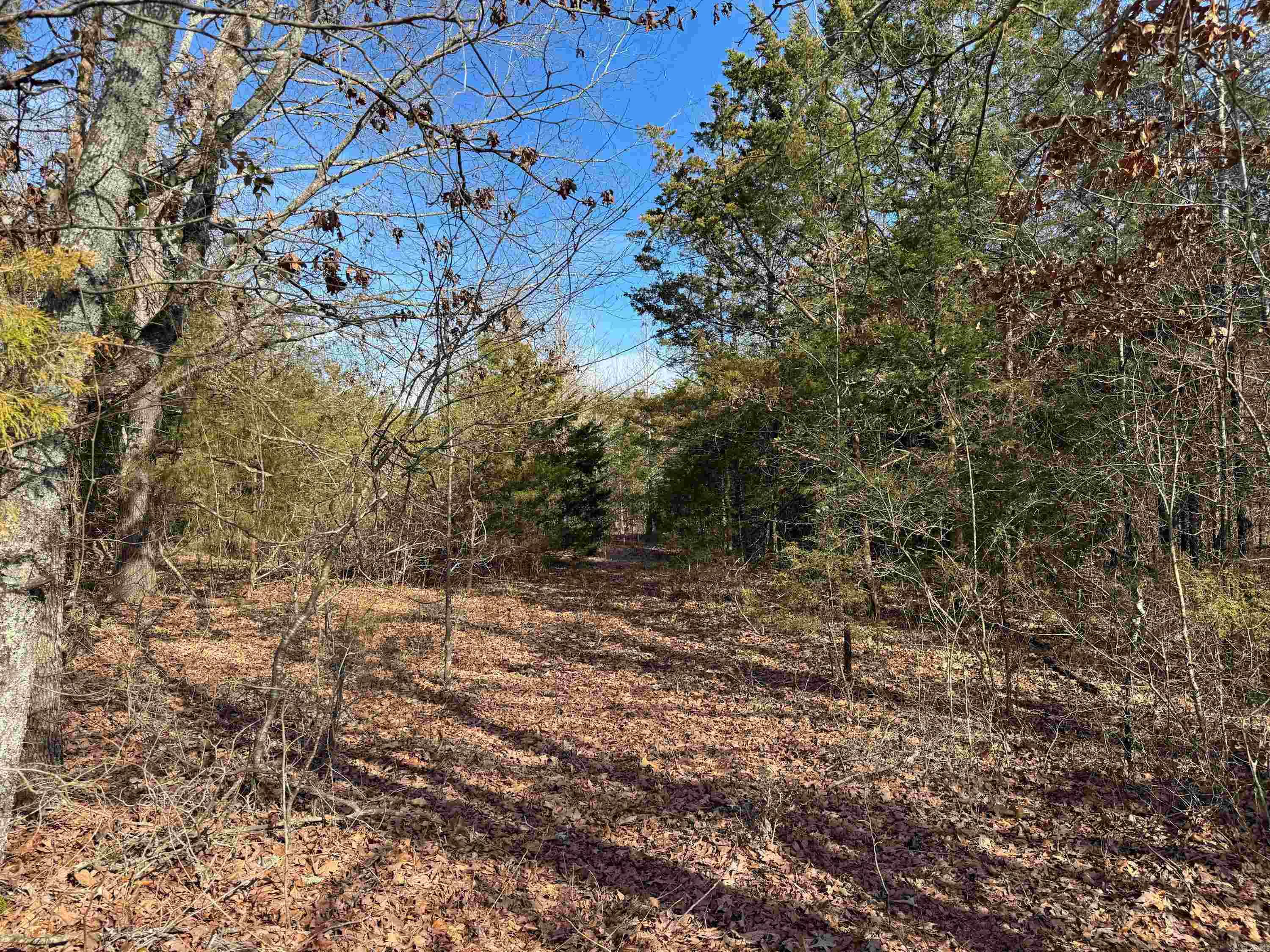 170 Enders Road Property Photo 17