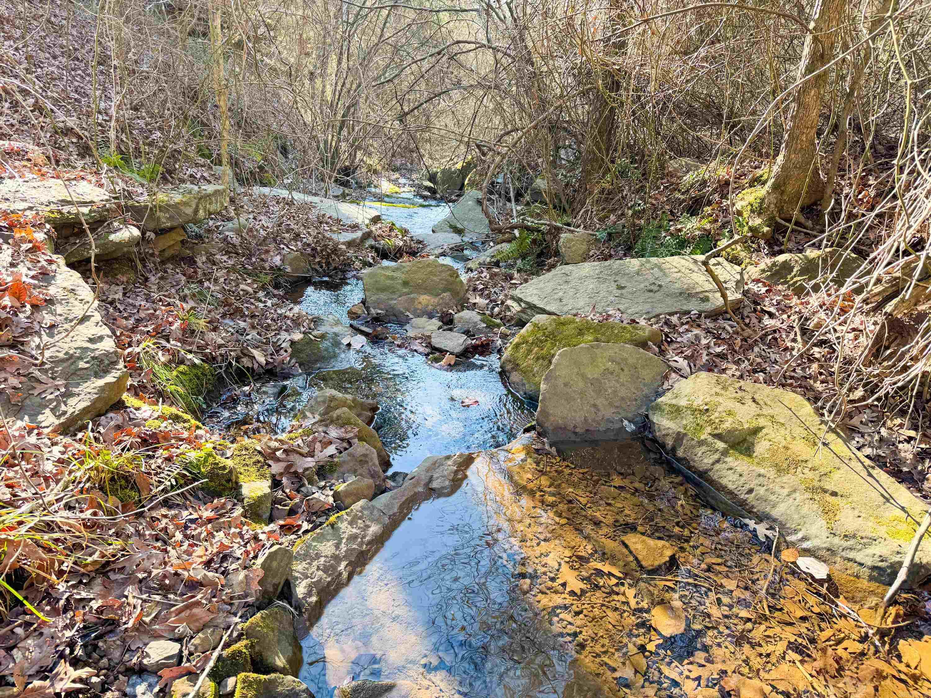 370 Guy Lane Property Photo 3