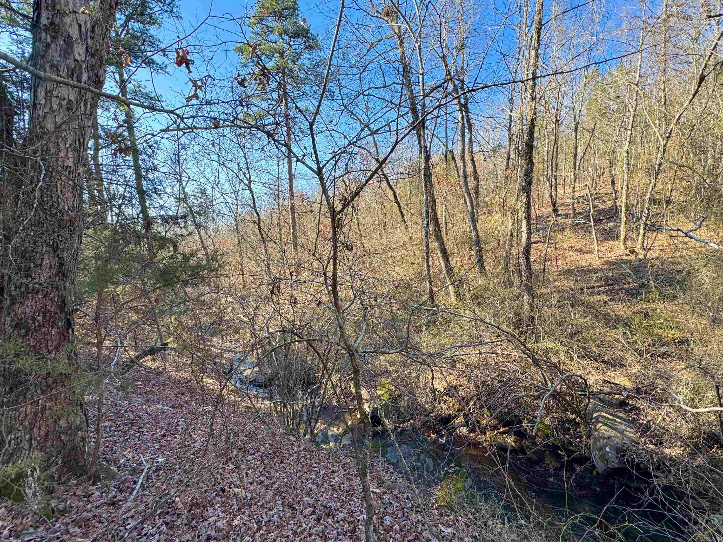 370 Guy Lane Property Photo 21