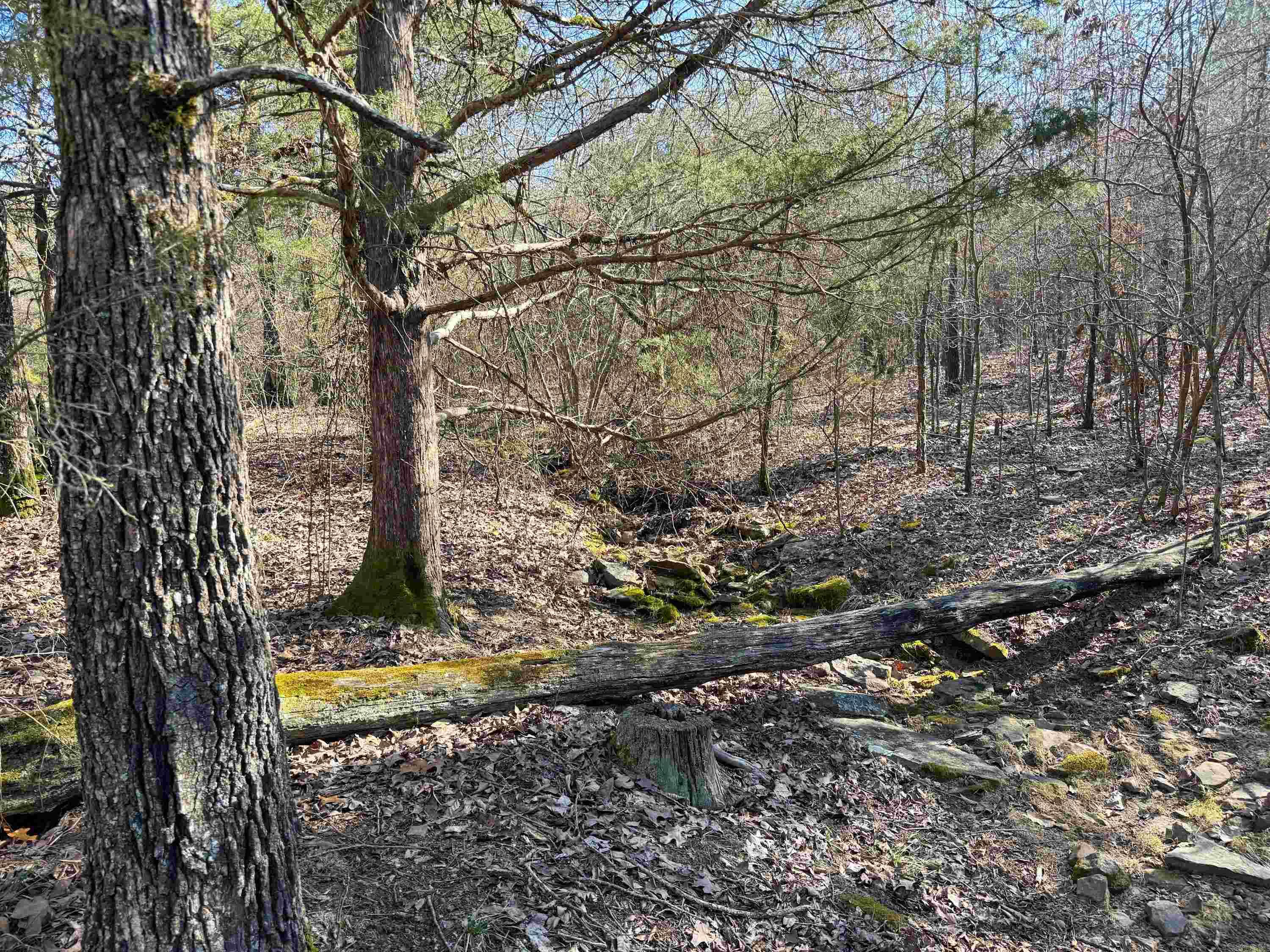 102 Guy Lane Property Photo 1