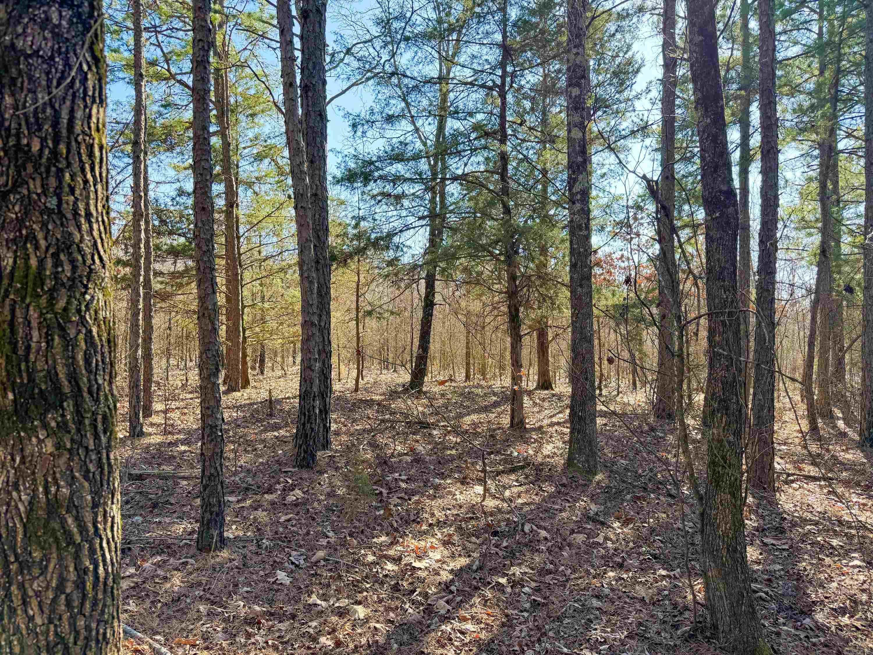 102 Guy Lane Property Photo 2