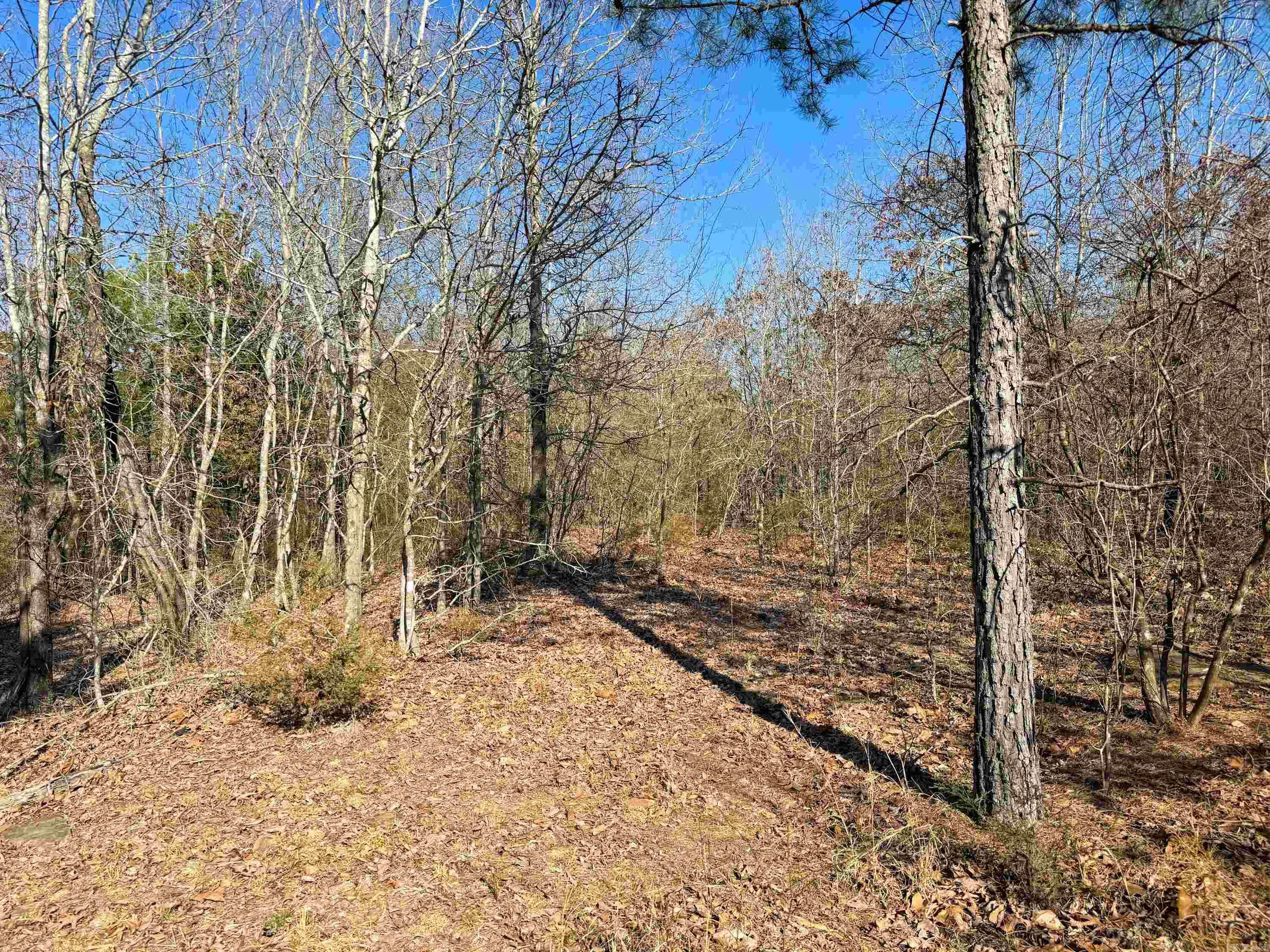 102 Guy Lane Property Photo 3