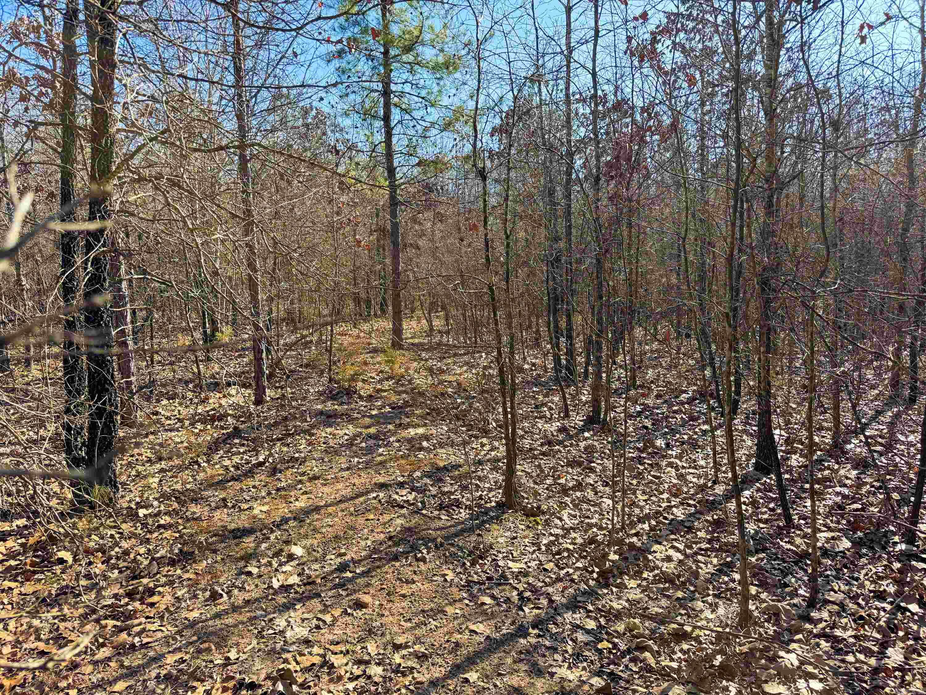 102 Guy Lane Property Photo 7