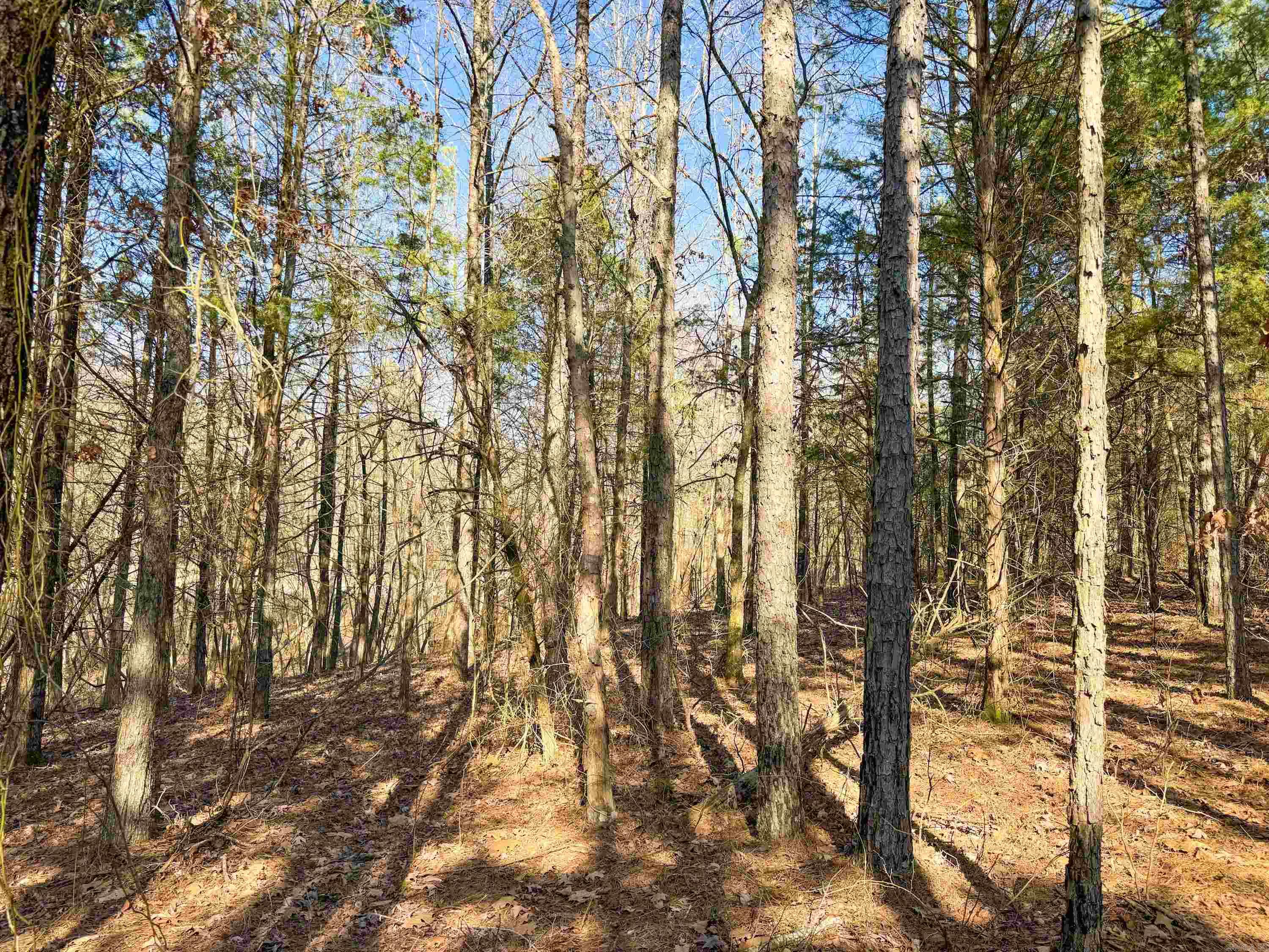 102 Guy Lane Property Photo 8