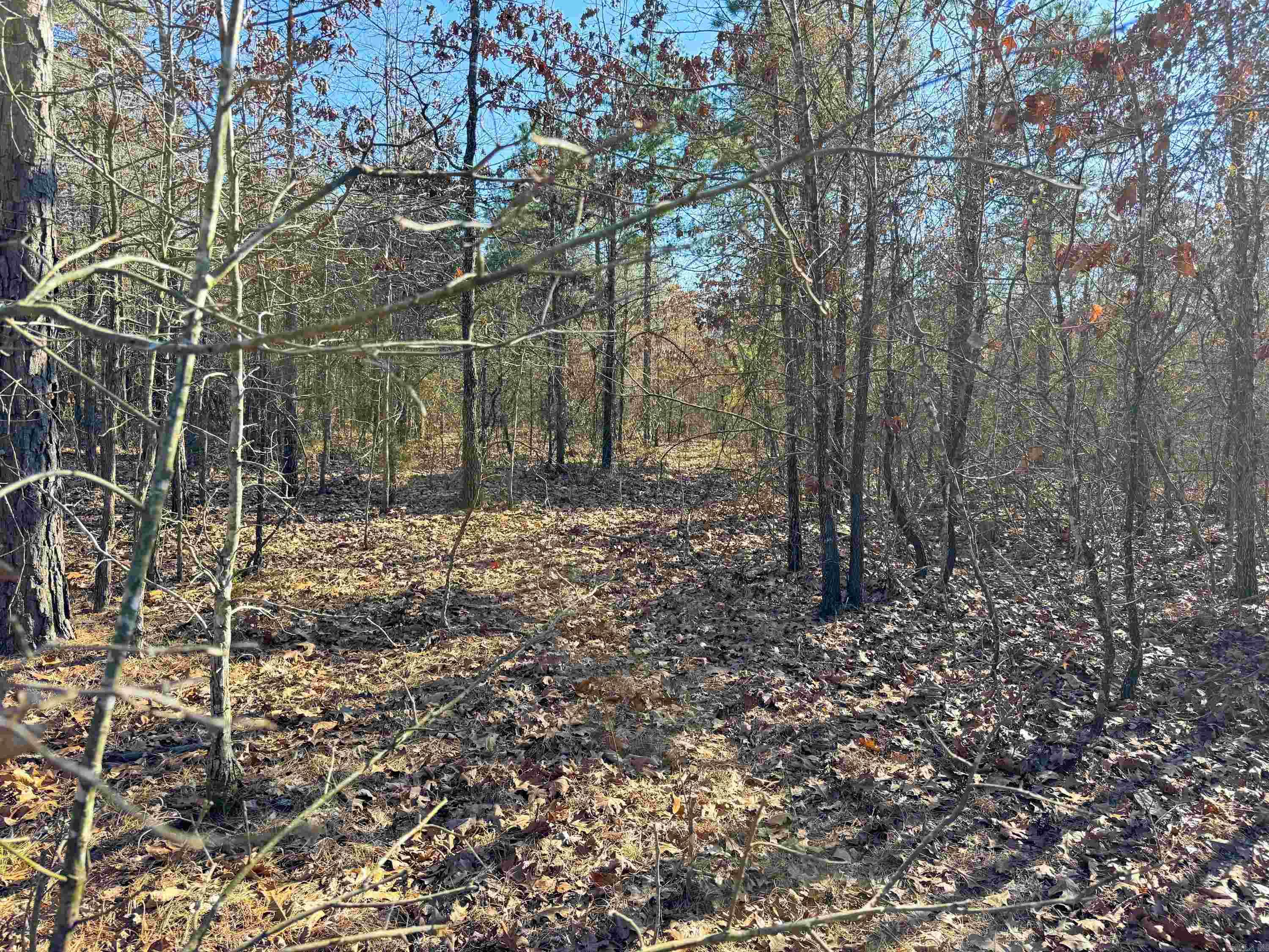 102 Guy Lane Property Photo 11