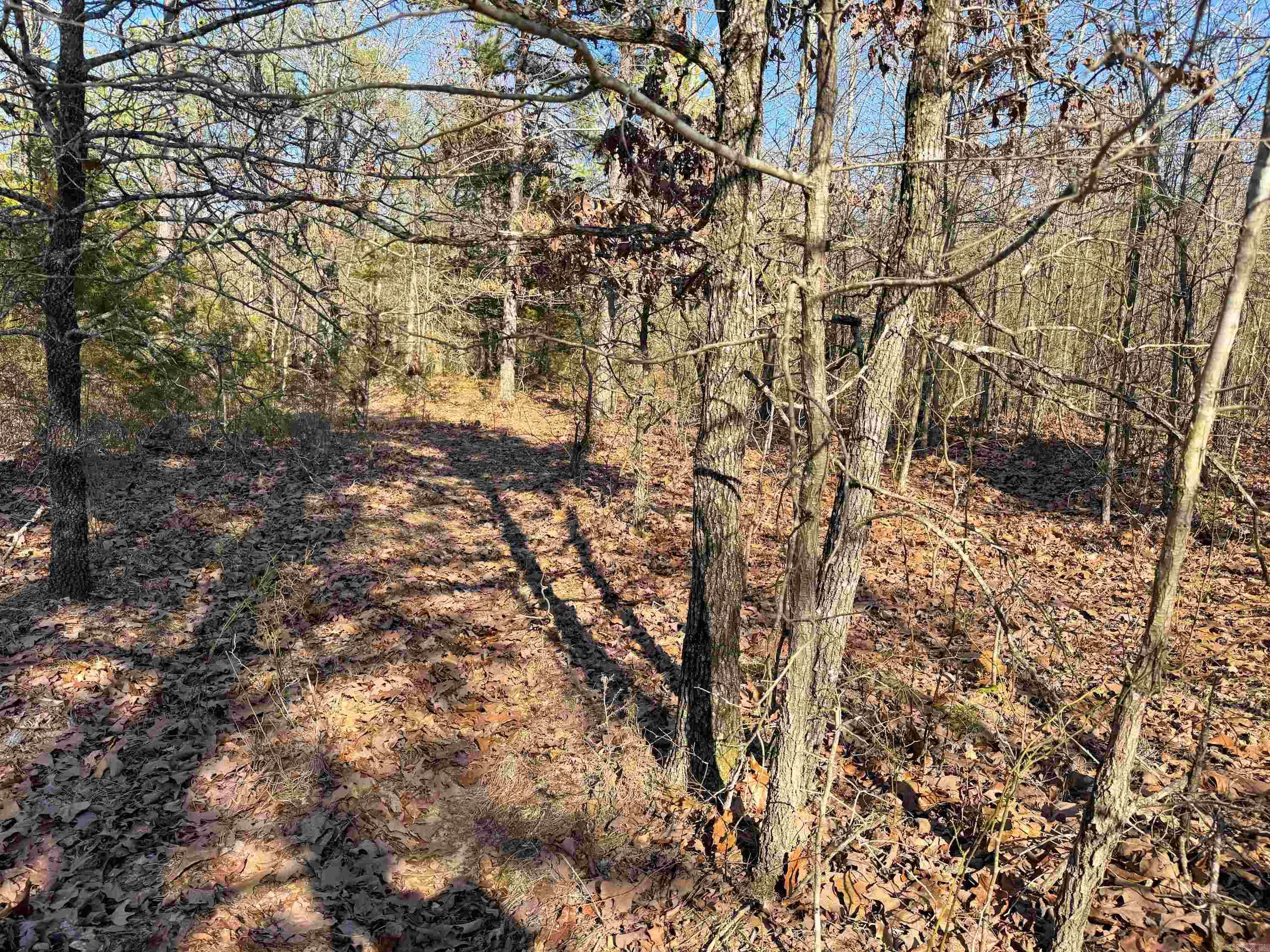 102 Guy Lane Property Photo 12