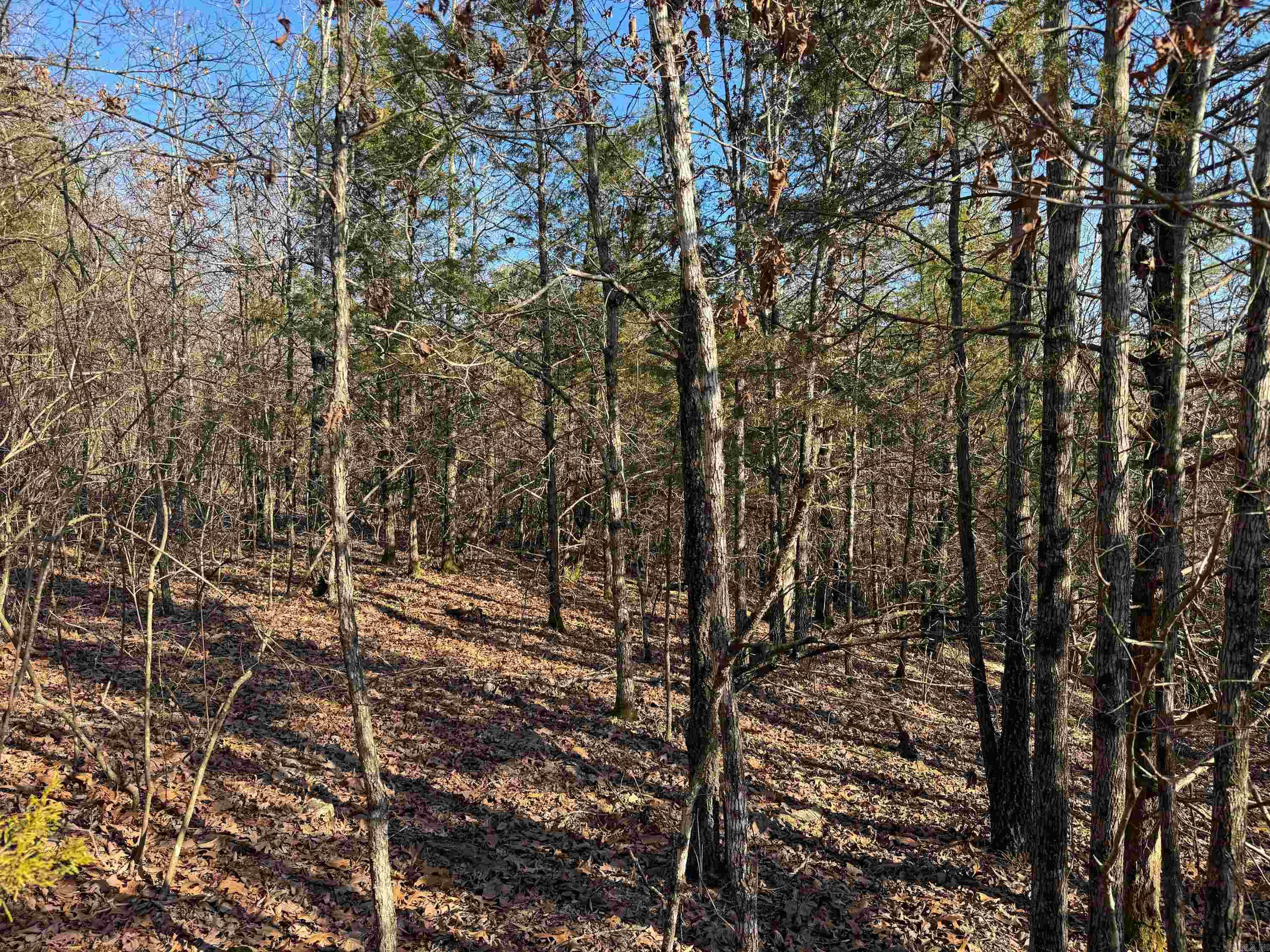 102 Guy Lane Property Photo 14
