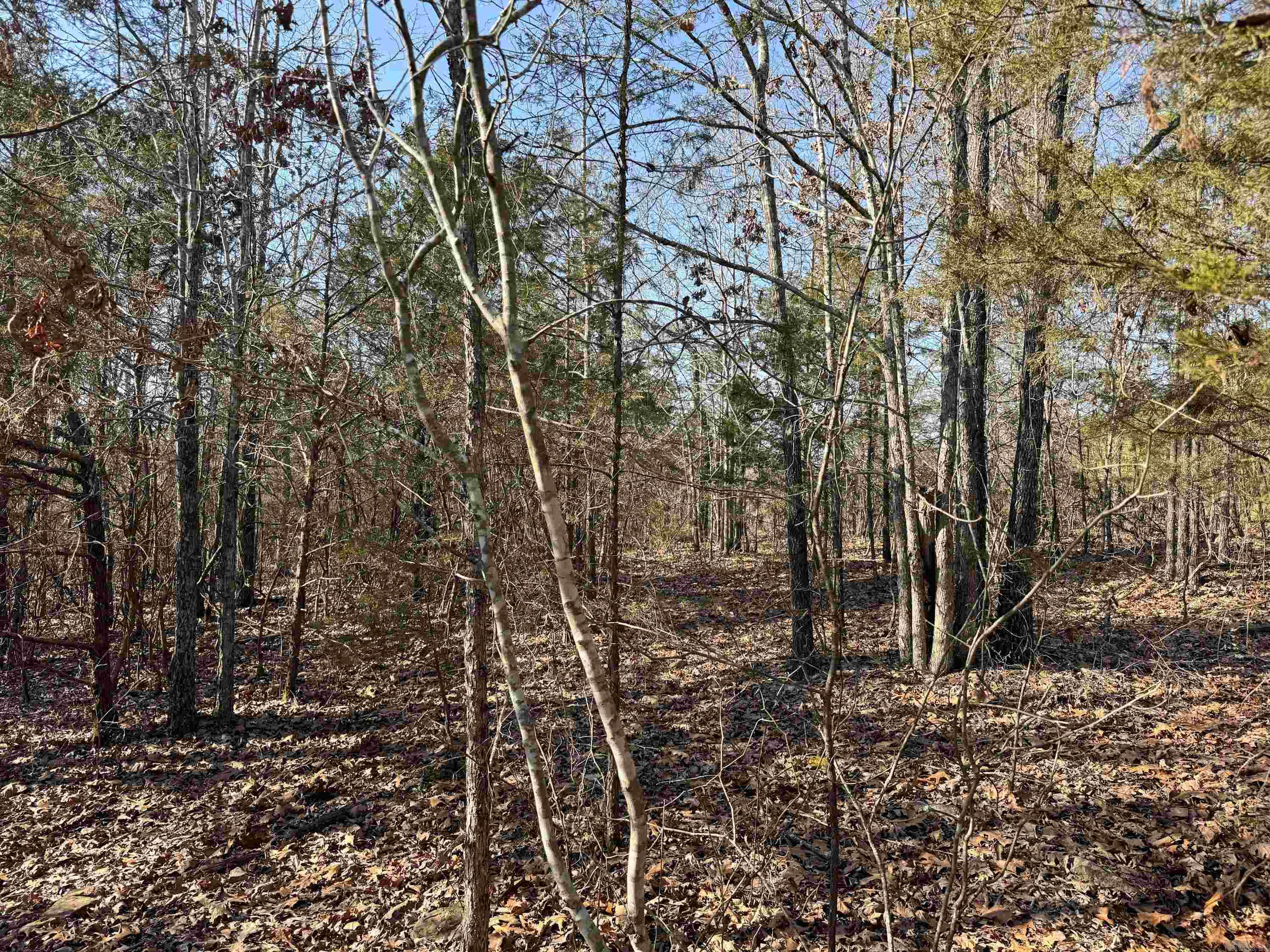 102 Guy Lane Property Photo 15