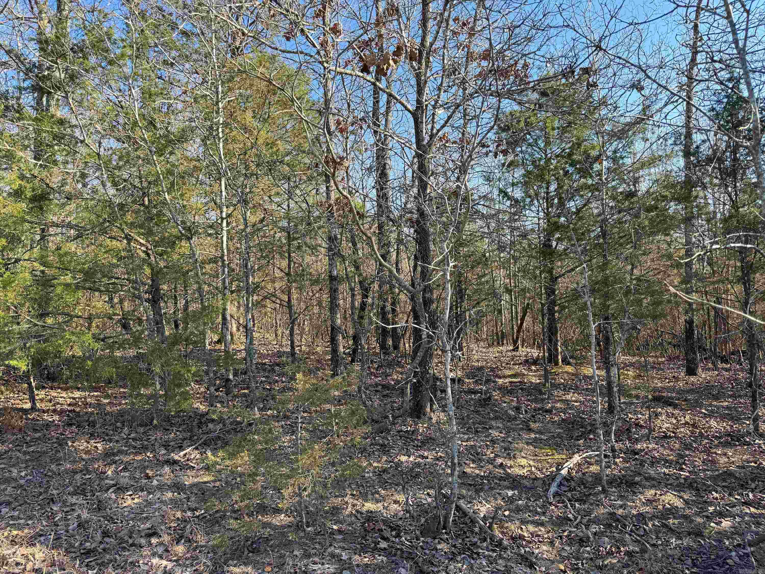 102 Guy Lane Property Photo 16
