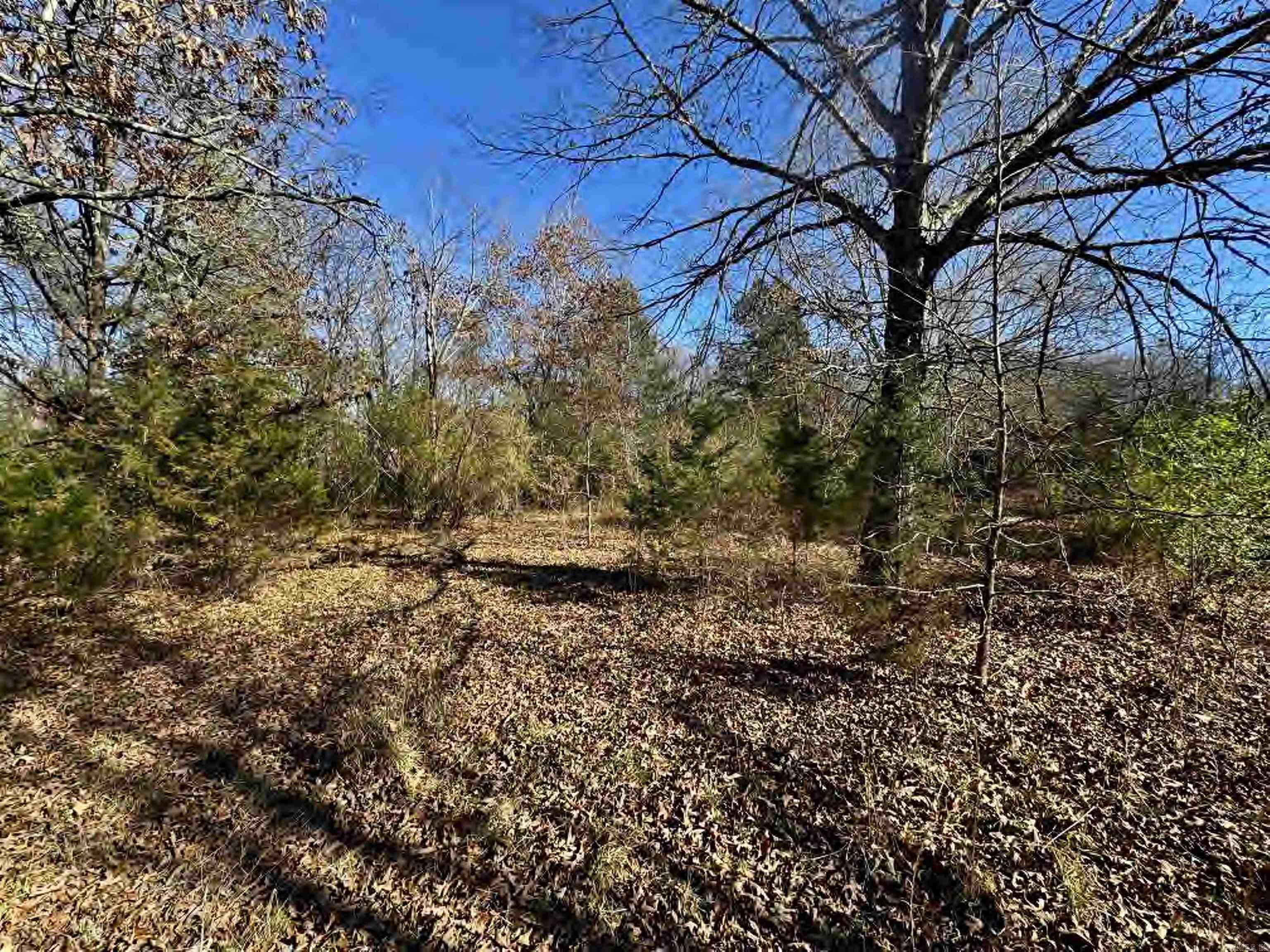 56 155 Highway Property Photo 30
