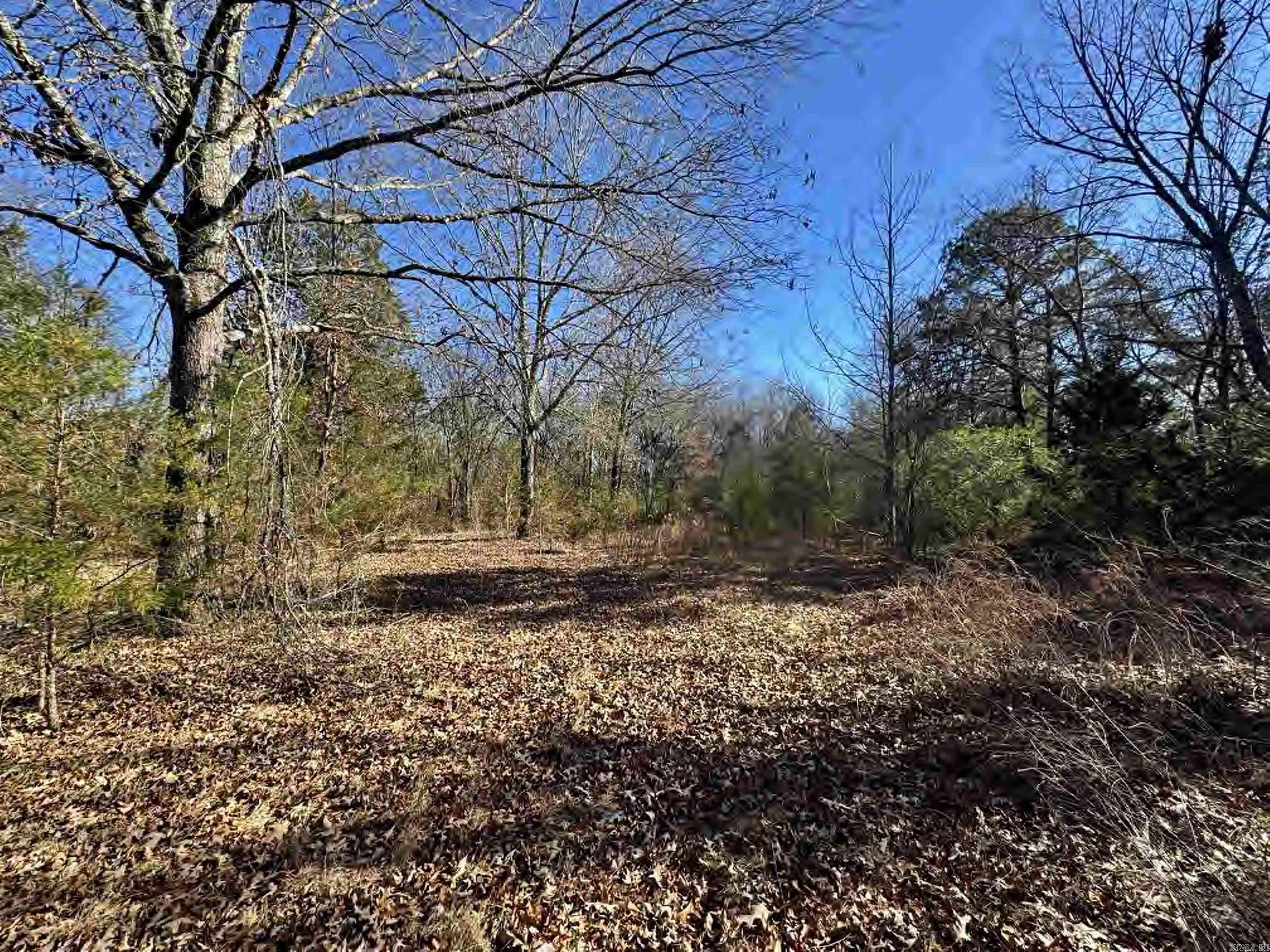 56 155 Highway Property Photo 31