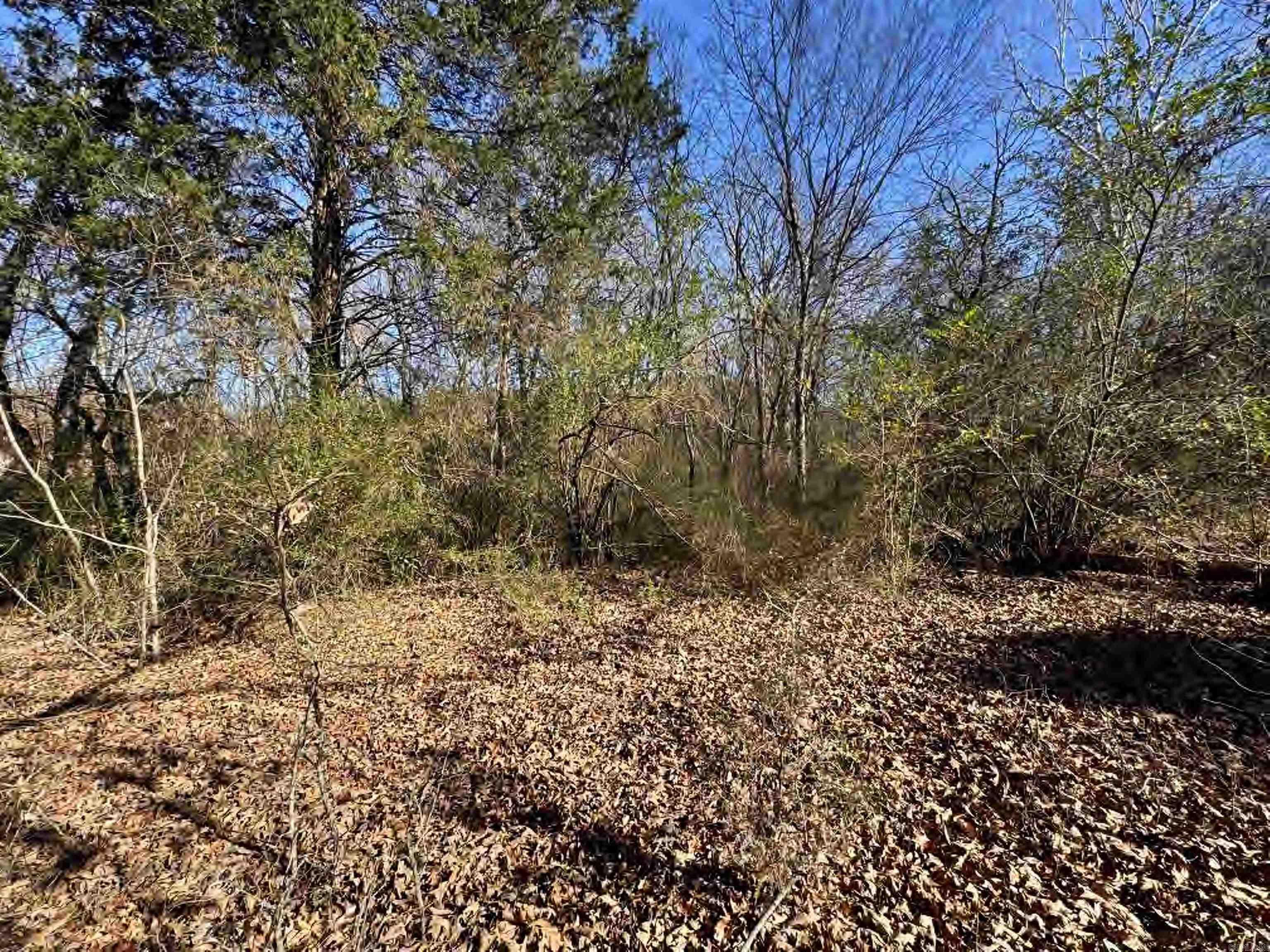 56 155 Highway Property Photo 32
