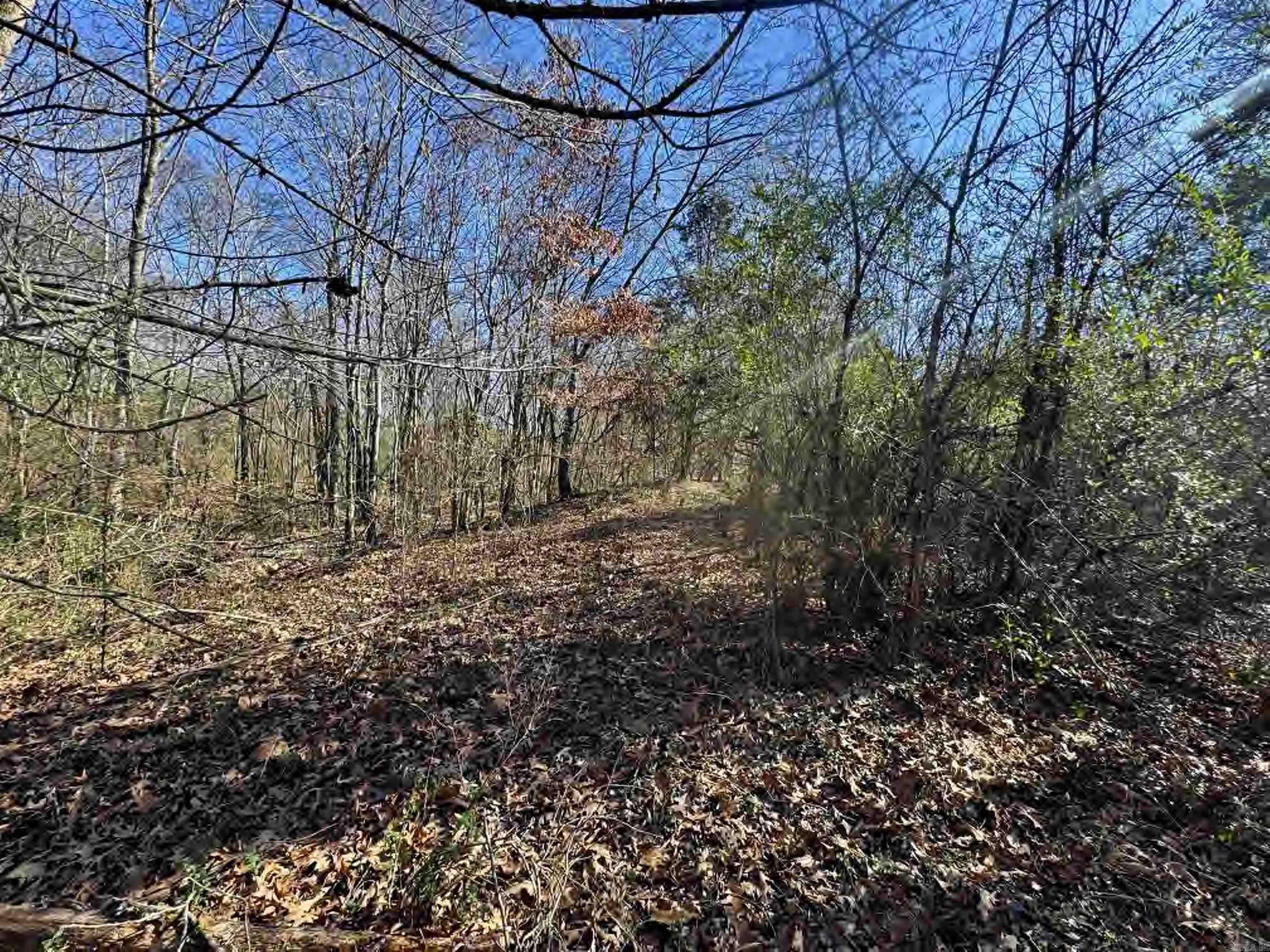 56 155 Highway Property Photo 33