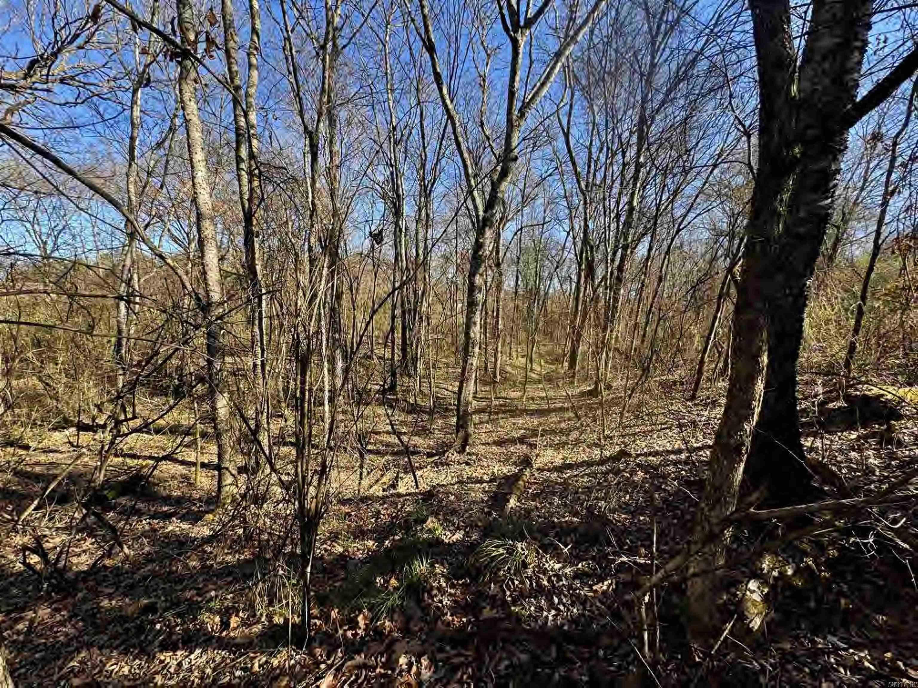 56 155 Highway Property Photo 34