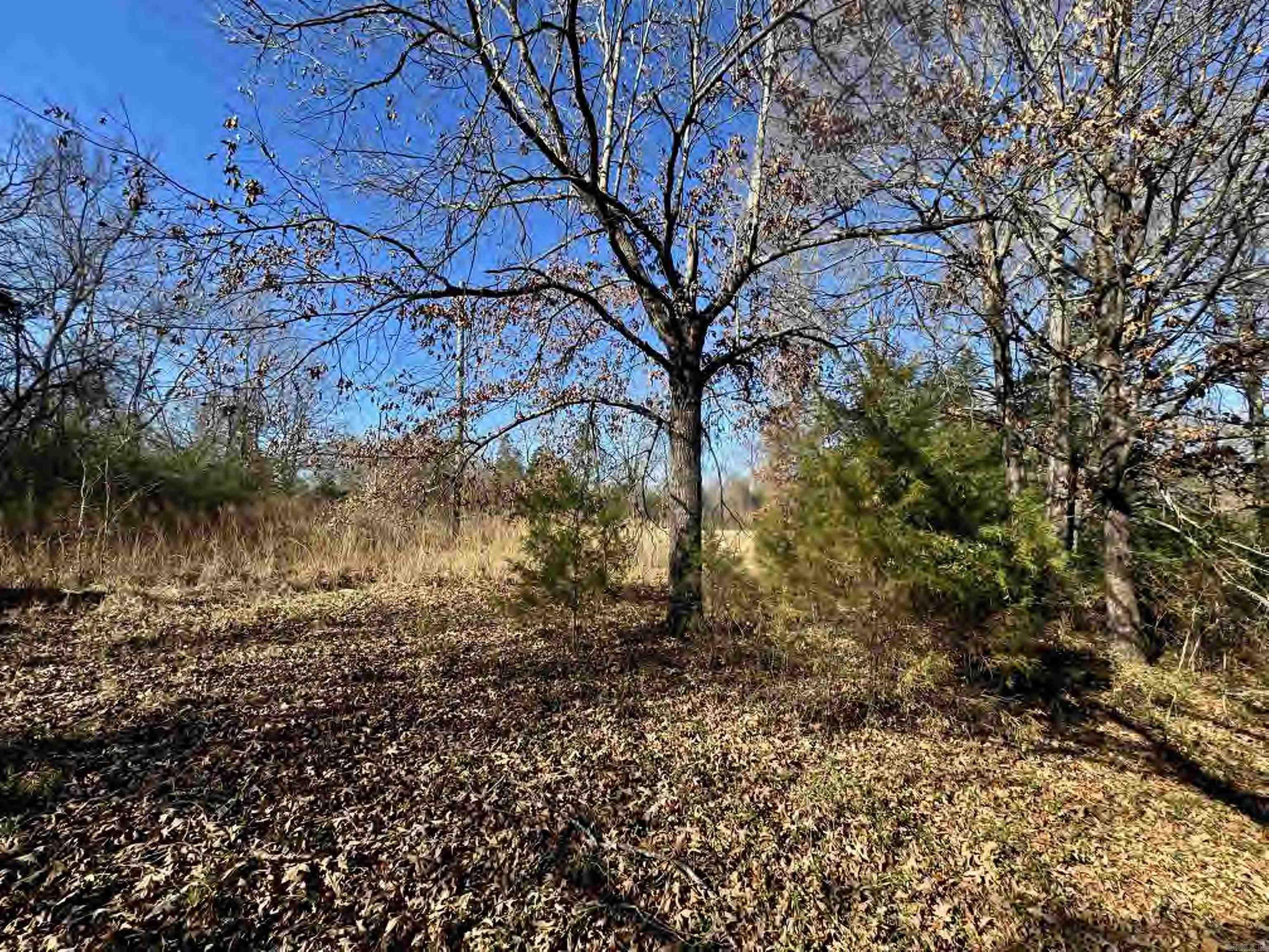 56 155 Highway Property Photo 35