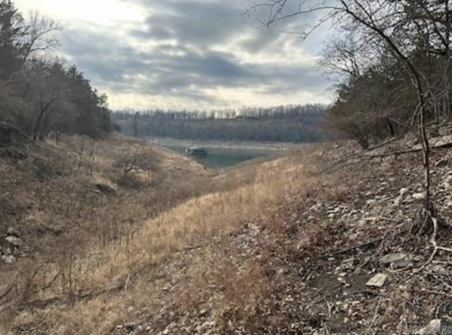 4.91 Acre Mc 8012 Property Photo 2