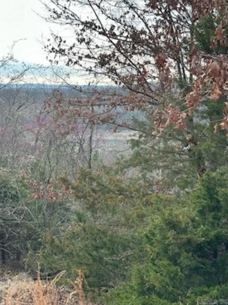4.91 Acre Mc 8012 Property Photo 4
