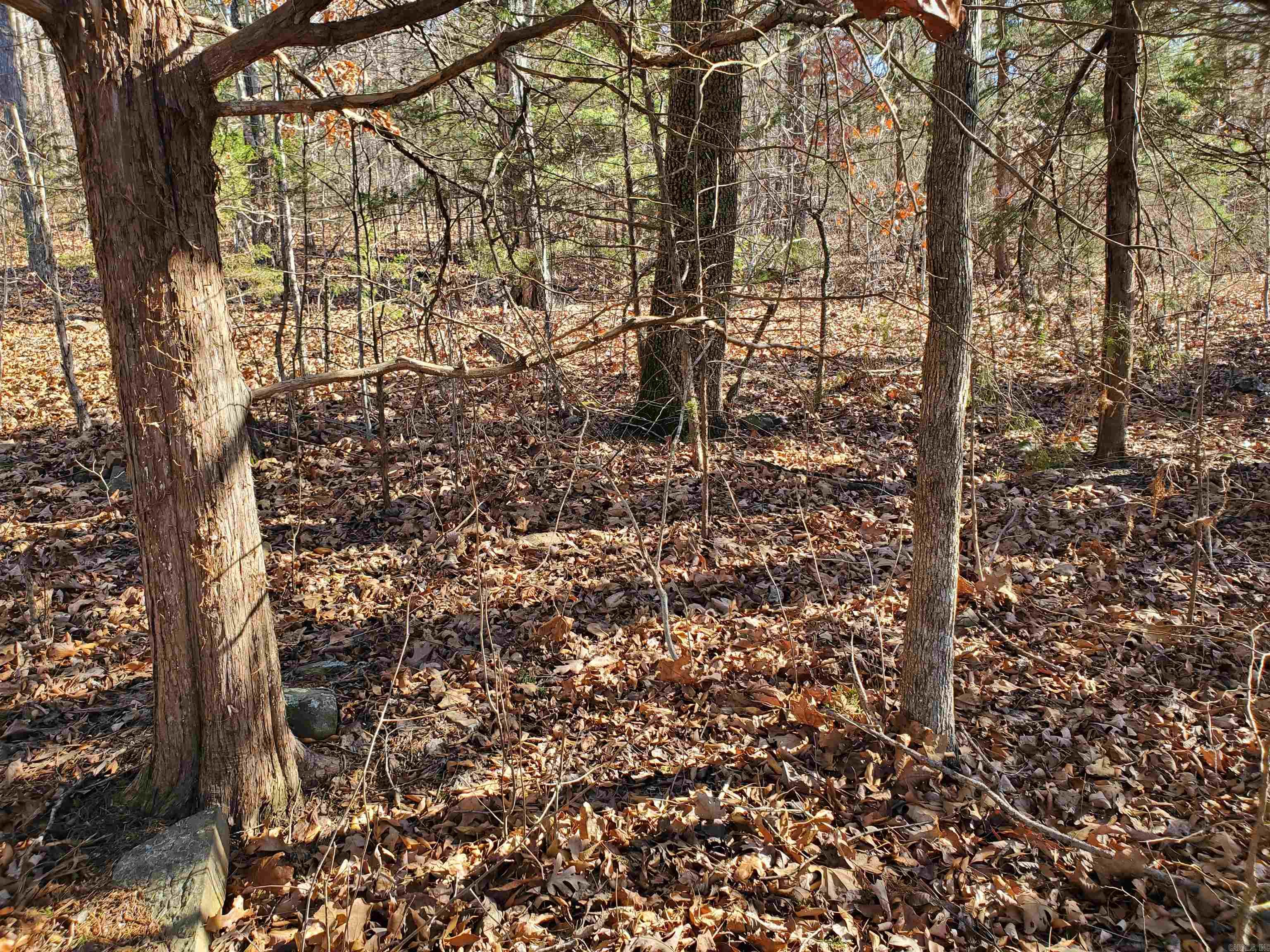15776 Hwy 74 E Tract #1 Property Photo 8