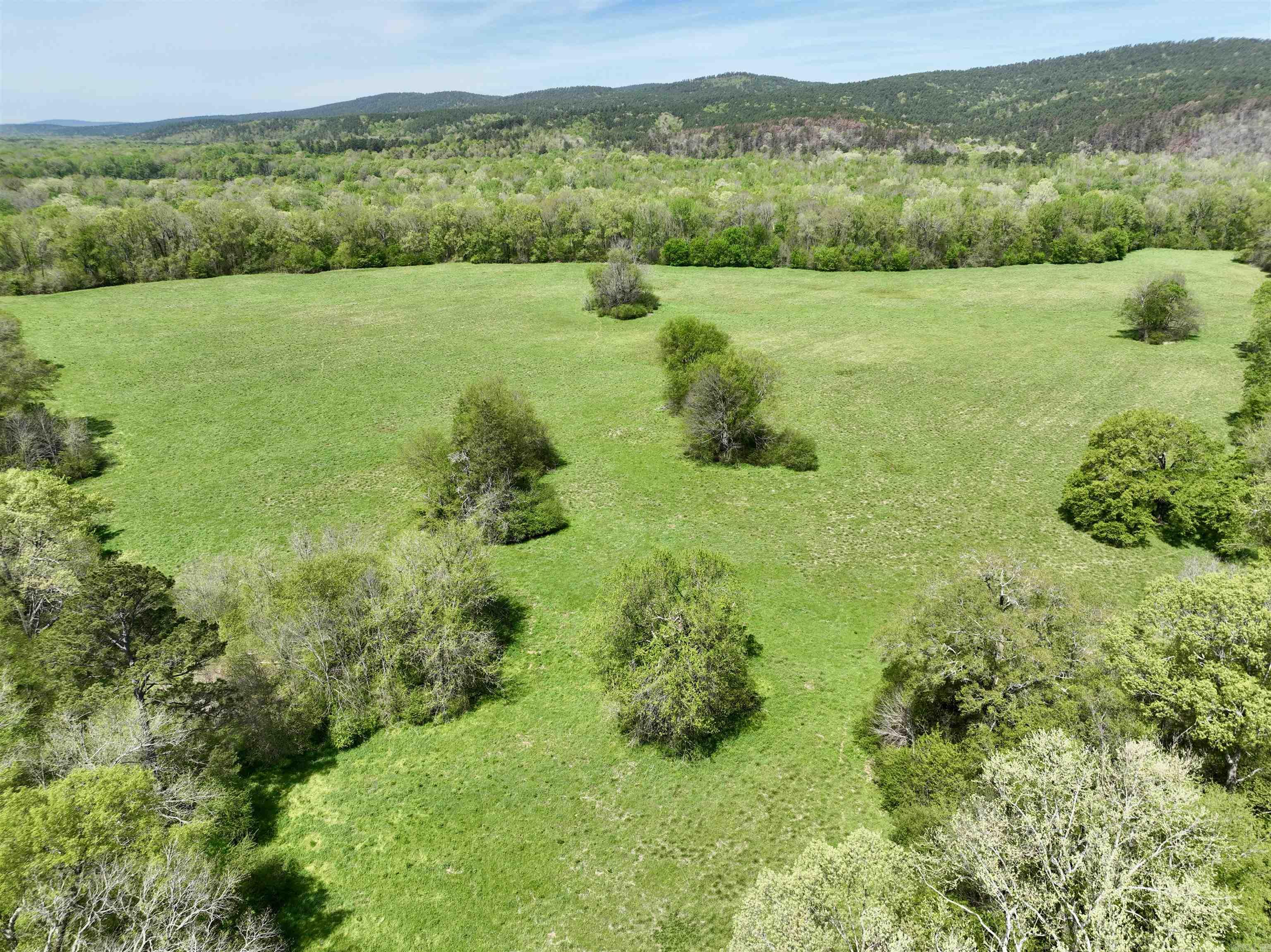 Tbd Fourche River Road Property Photo 4