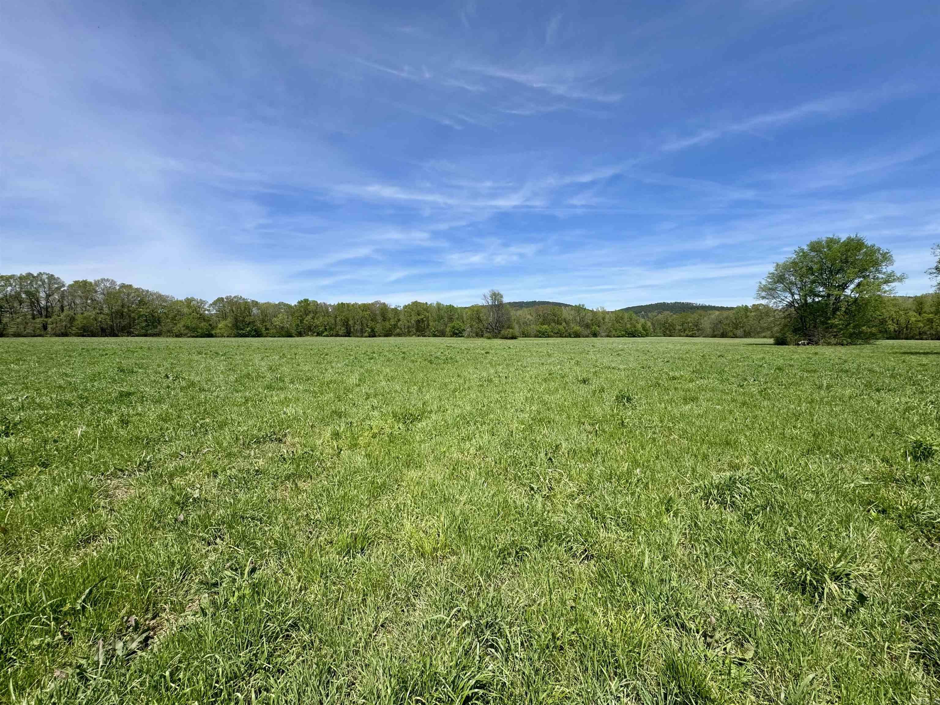 Tbd Fourche River Road Property Photo 8
