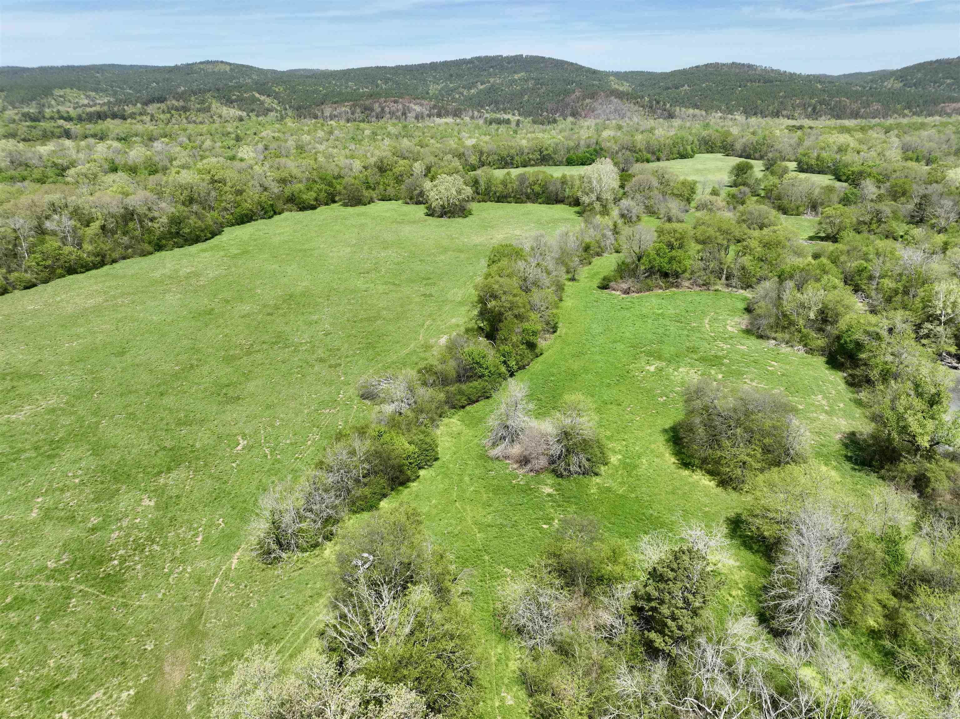 Tbd Fourche River Road Property Photo 9