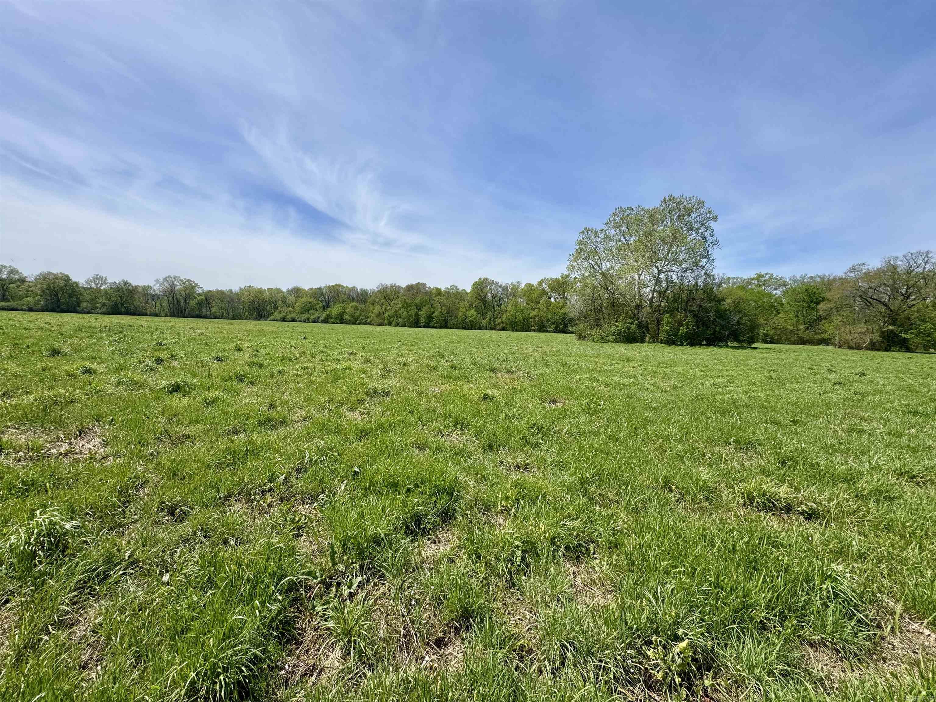 Tbd Fourche River Road Property Photo 11