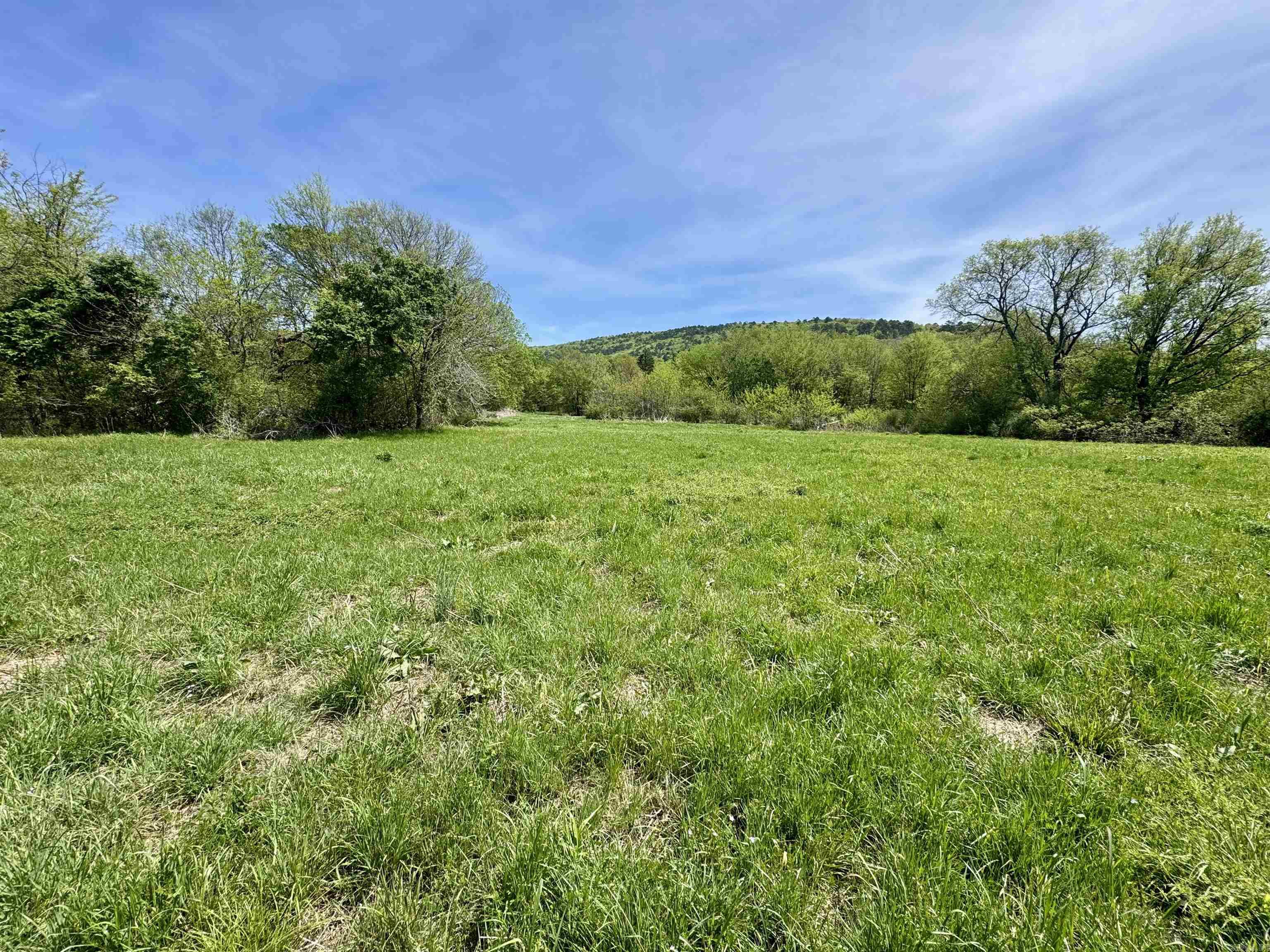 Tbd Fourche River Road Property Photo 15