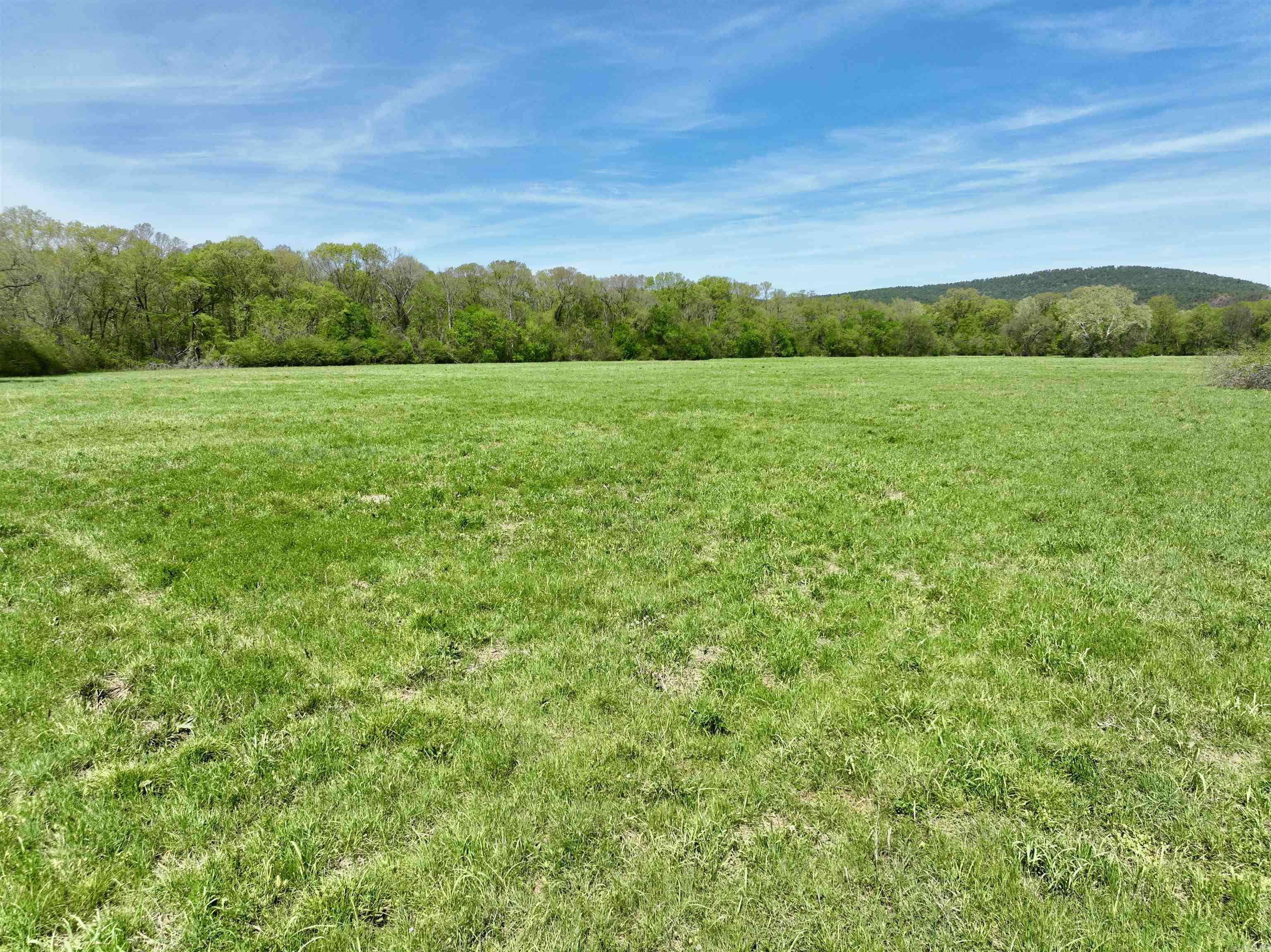 Tbd Fourche River Road Property Photo 16