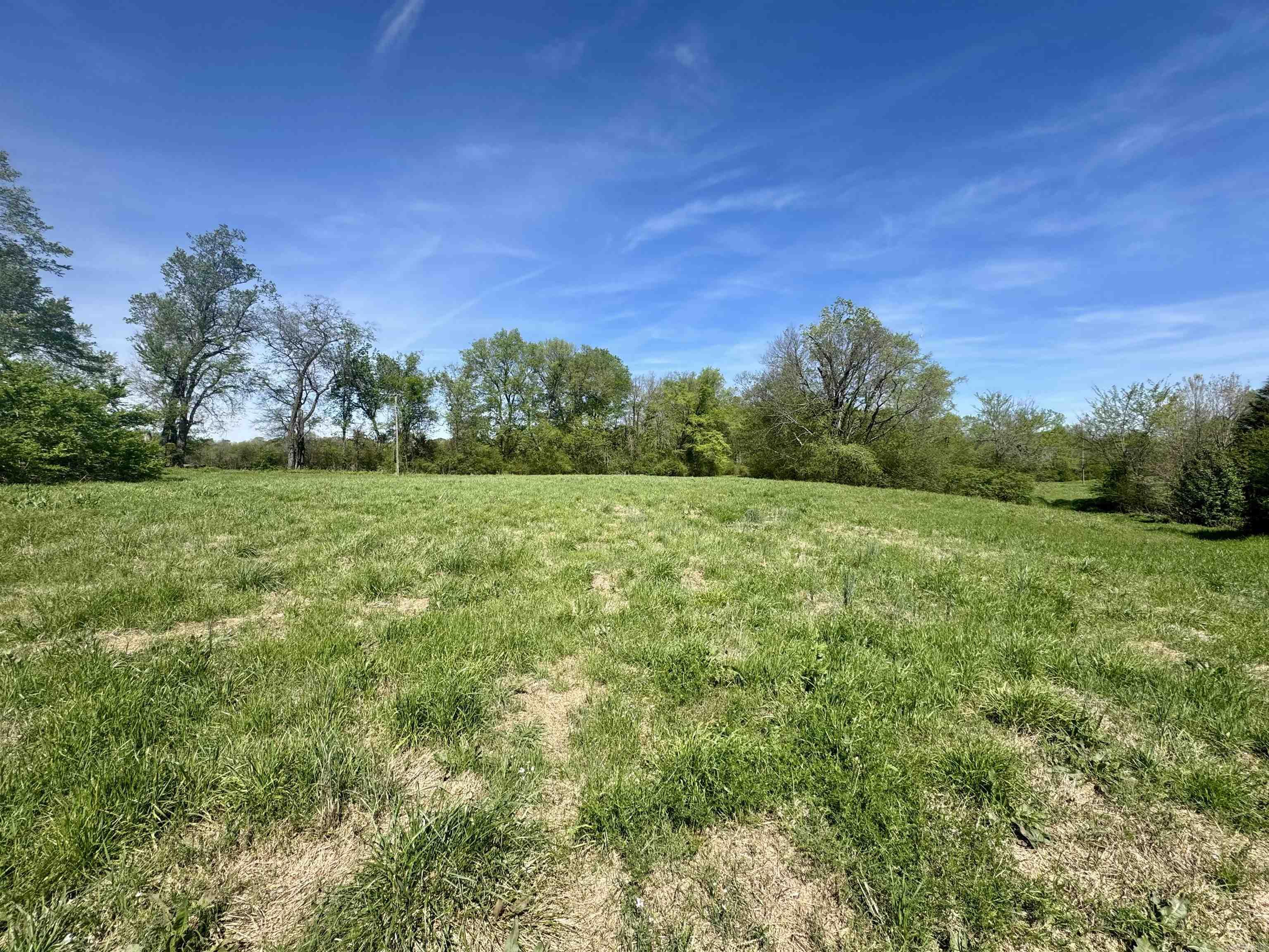 Tbd Fourche River Road Property Photo 17