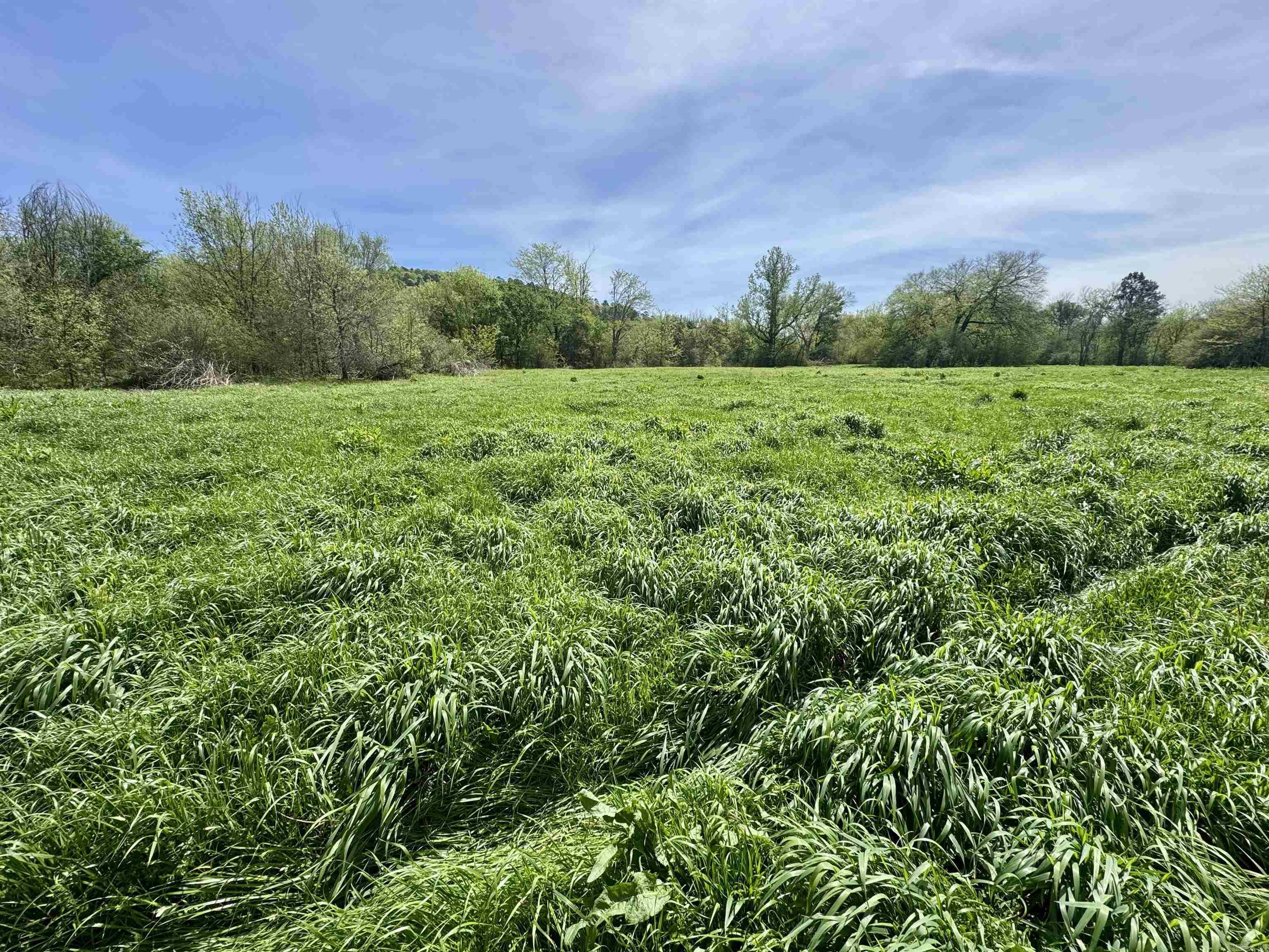 Tbd Fourche River Road Property Photo 20