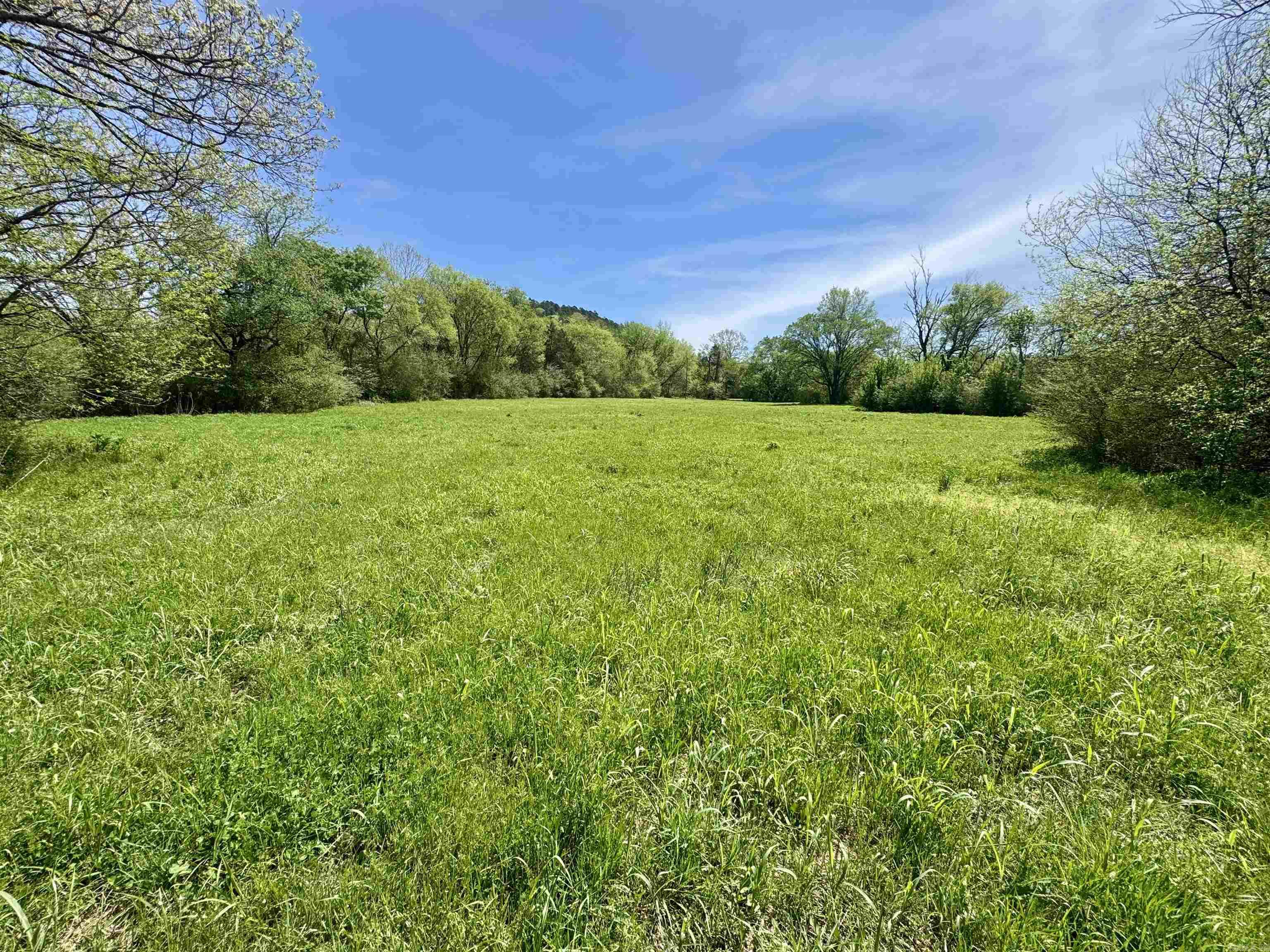 Tbd Fourche River Road Property Photo 21