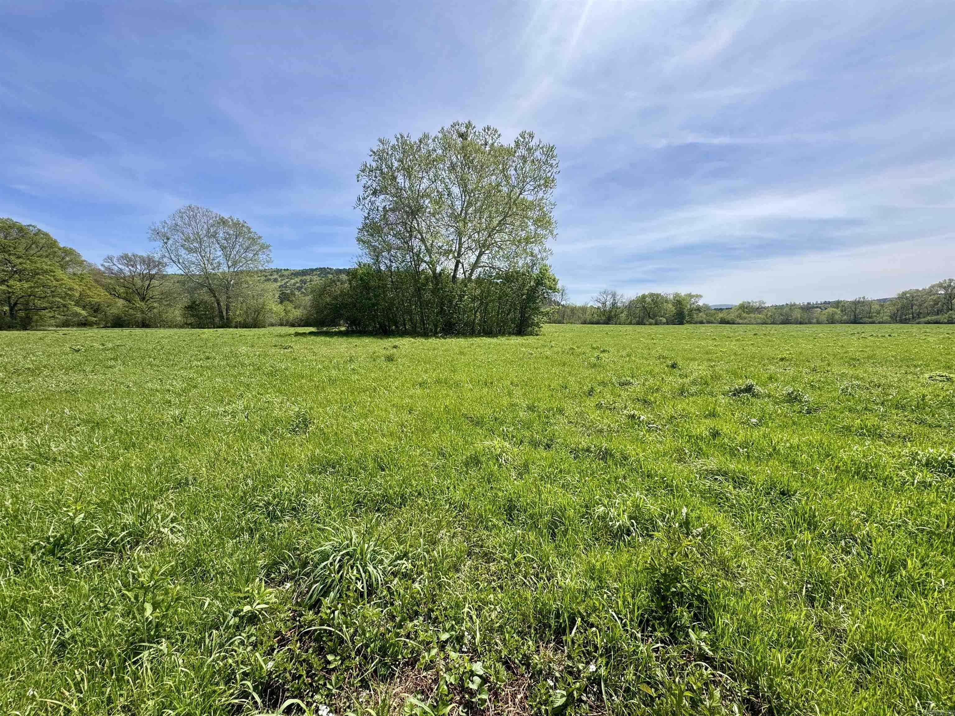 Tbd Fourche River Road Property Photo 22