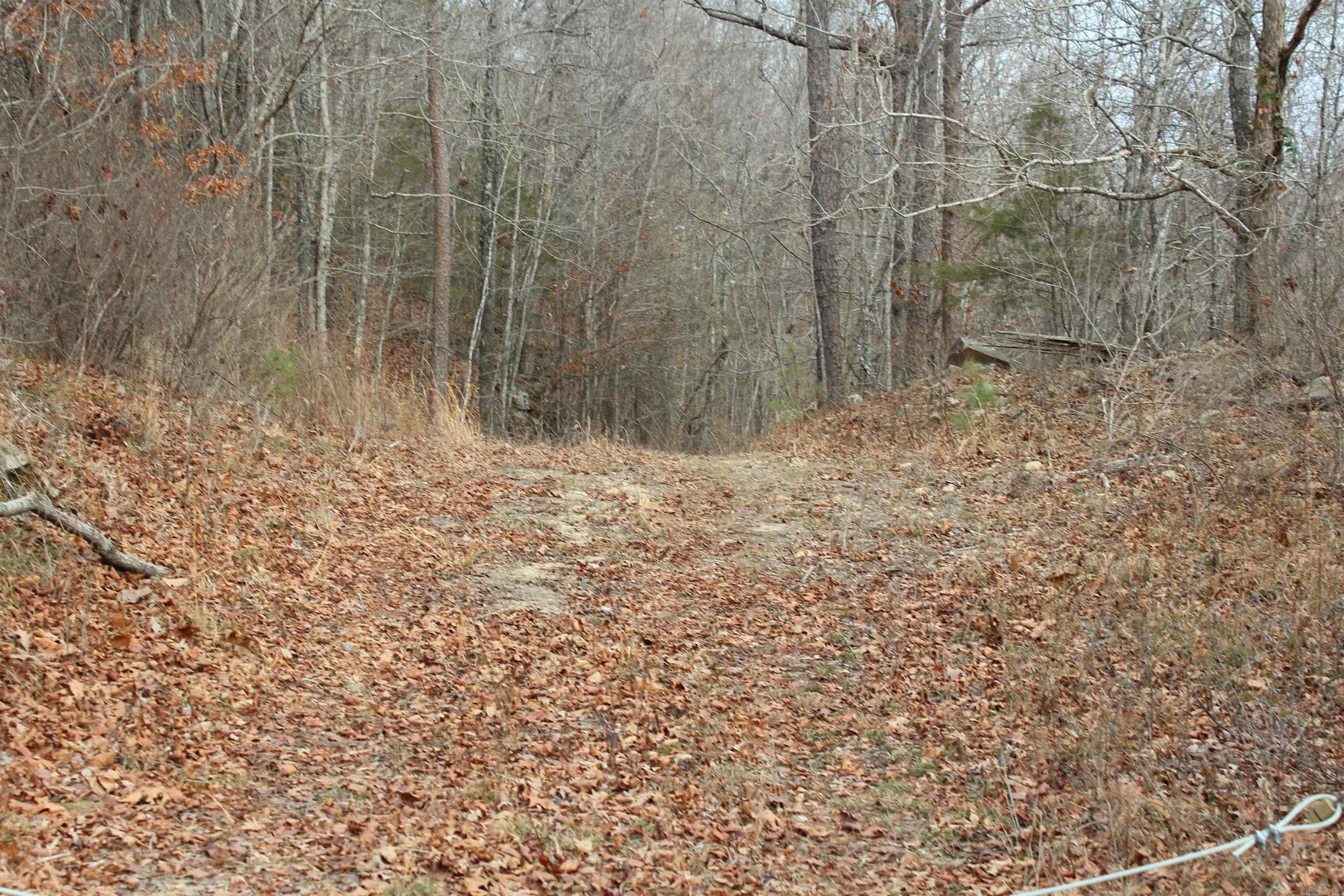 000 Old Brewer Rd Property Photo 6