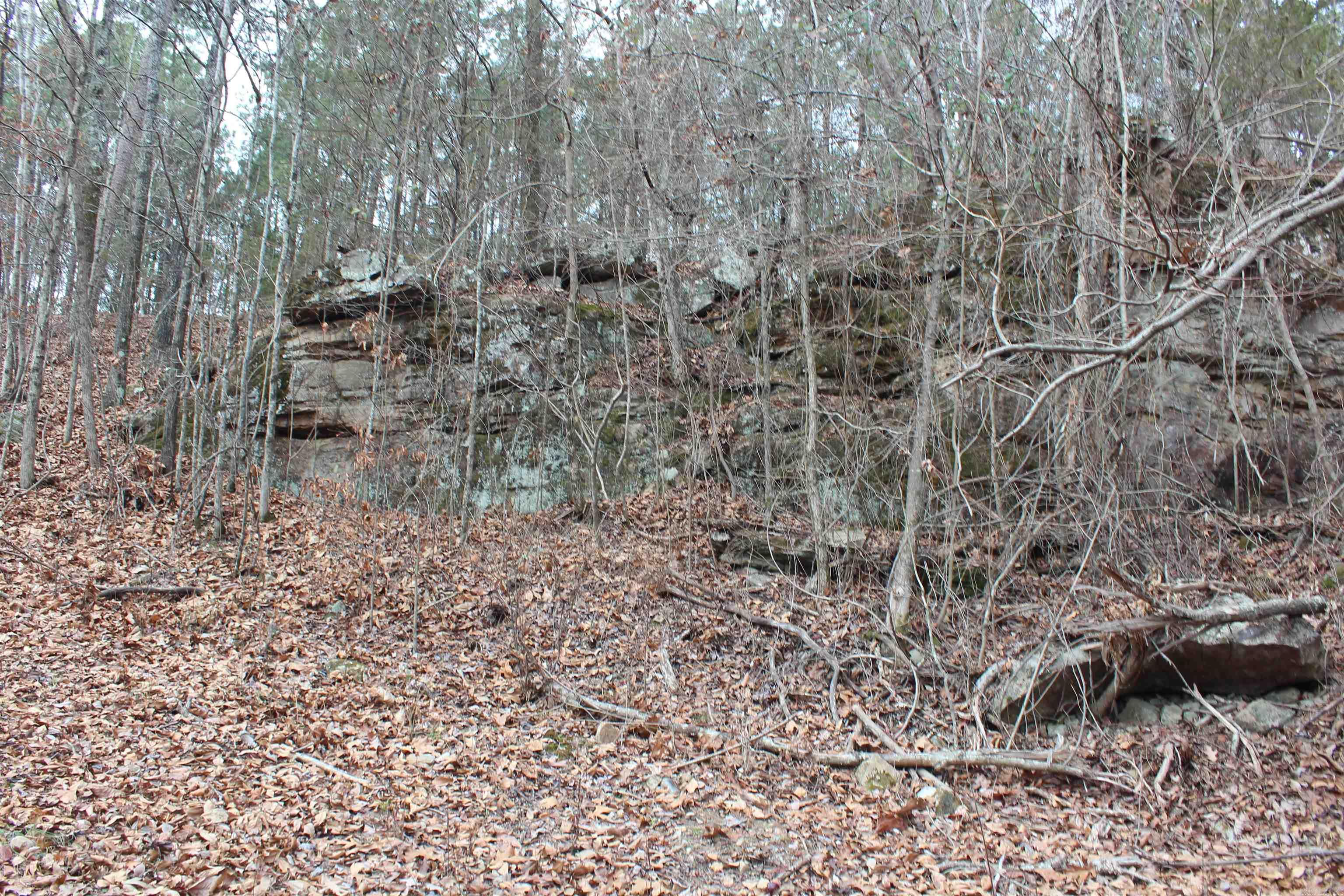 000 Old Brewer Rd Property Photo 11