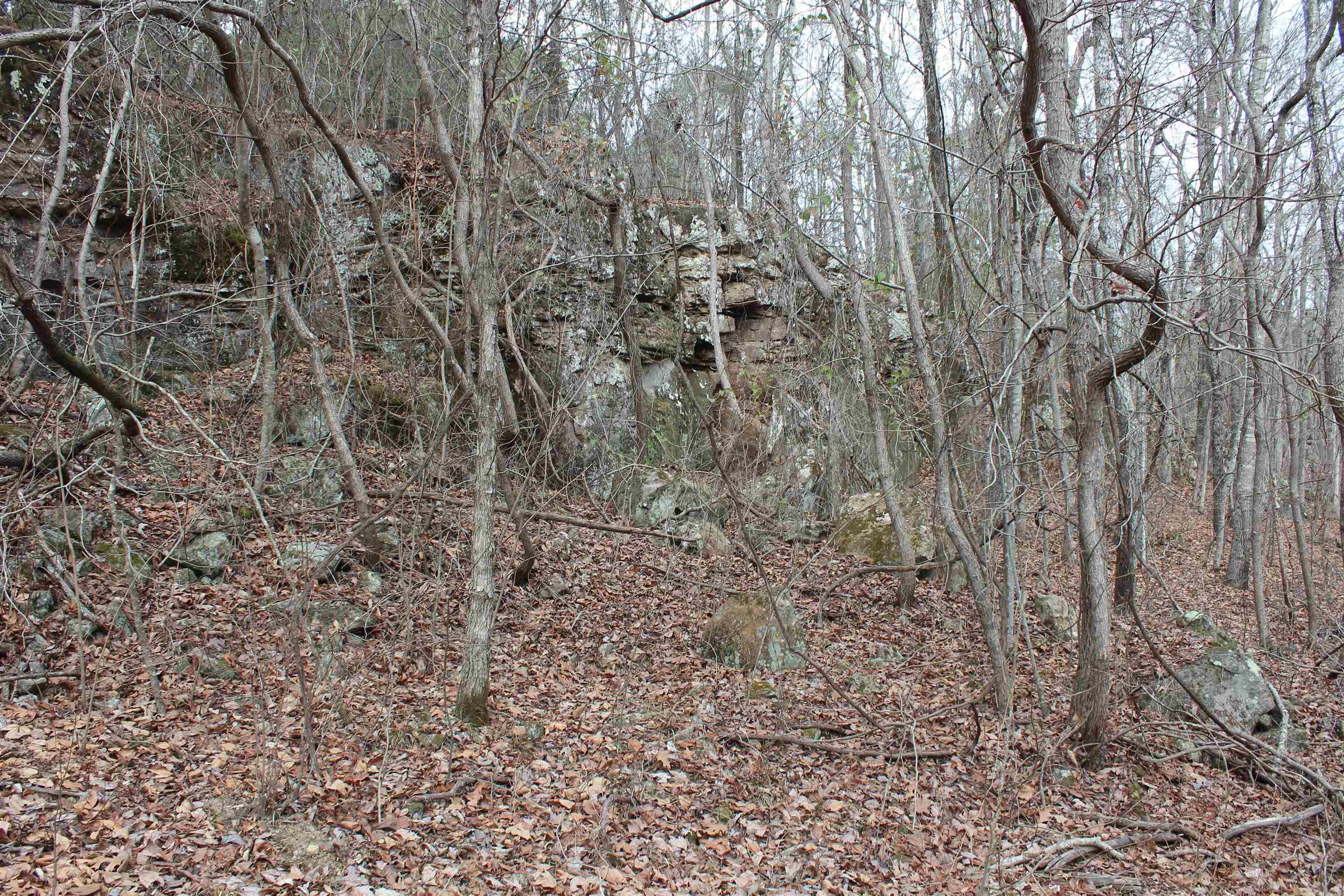 000 Old Brewer Rd Property Photo 12