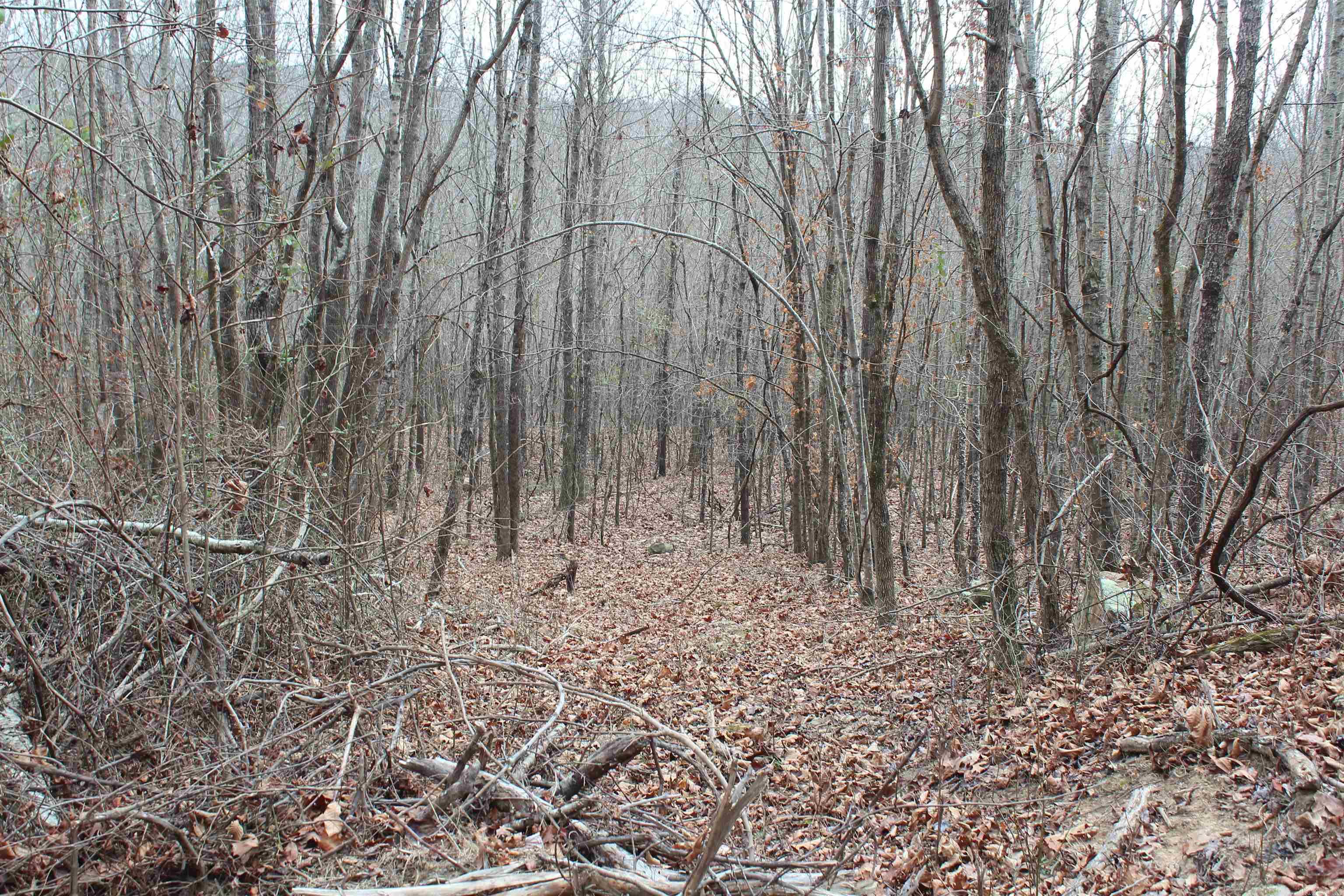 000 Old Brewer Rd Property Photo 13