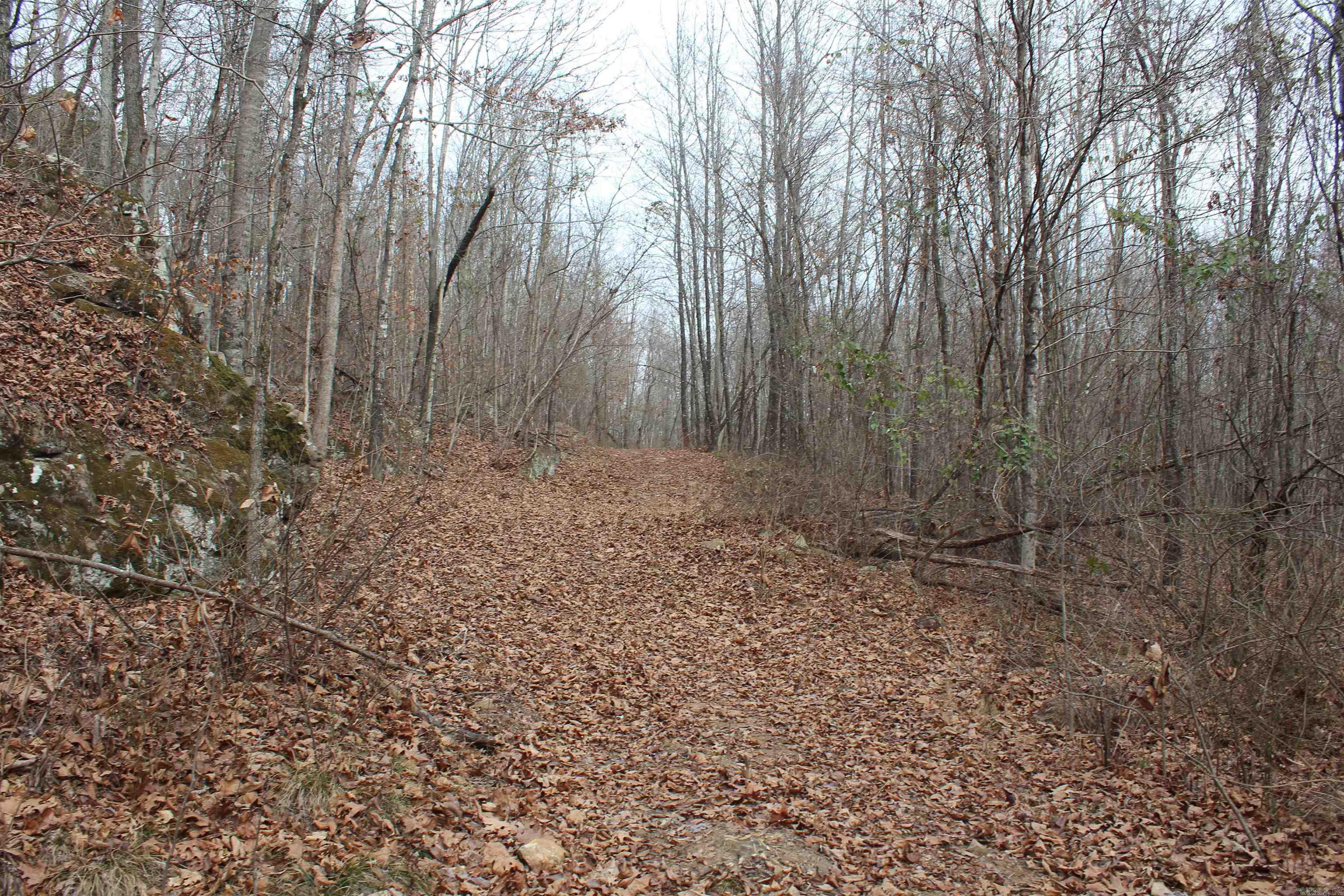 000 Old Brewer Rd Property Photo 15