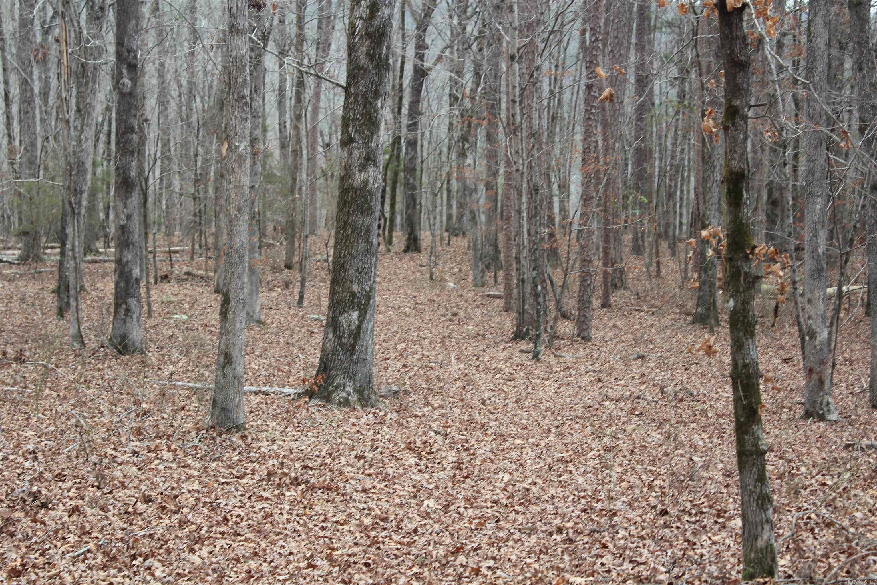 000 Old Brewer Rd Property Photo 18