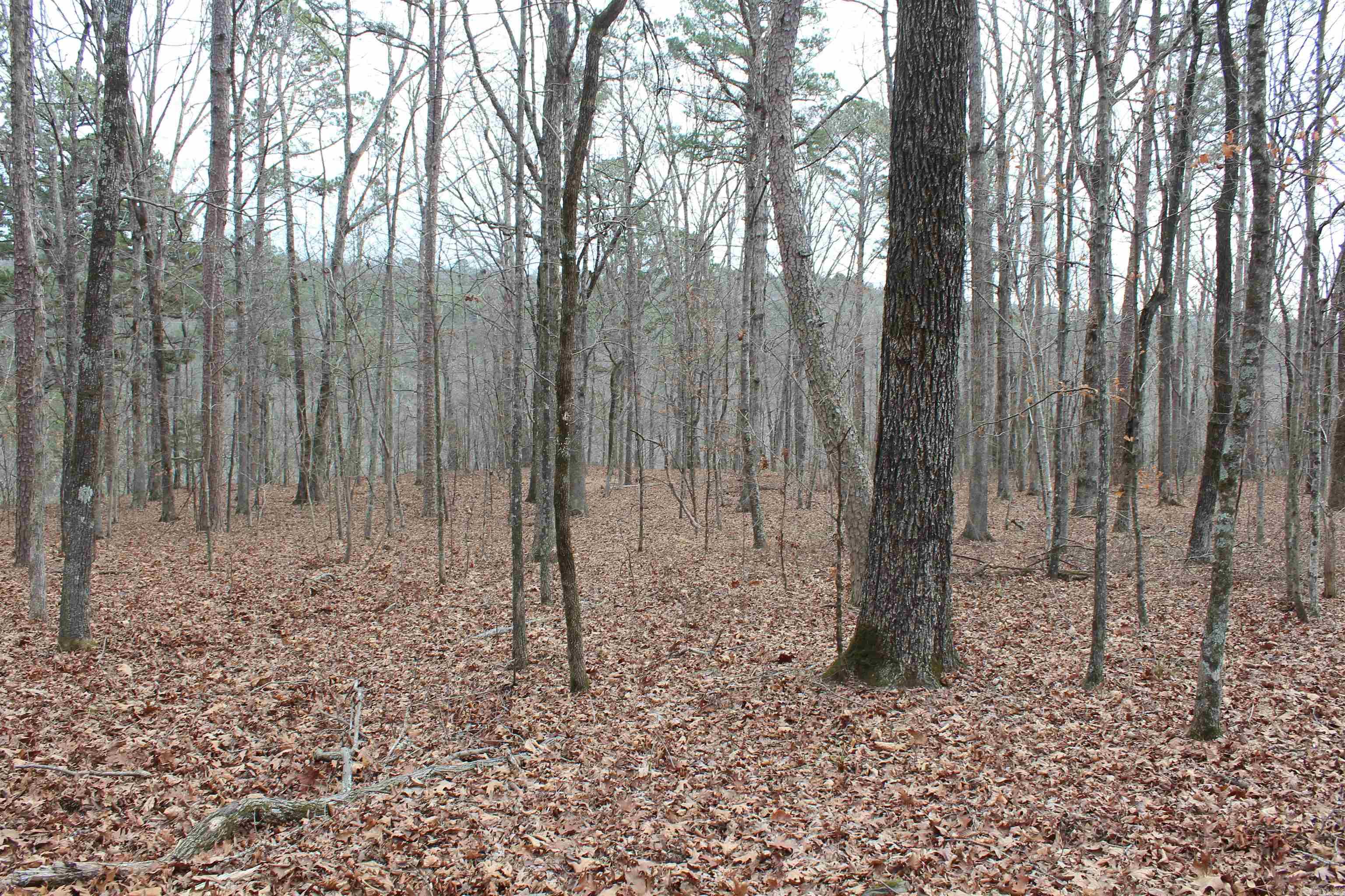 000 Old Brewer Rd Property Photo 20