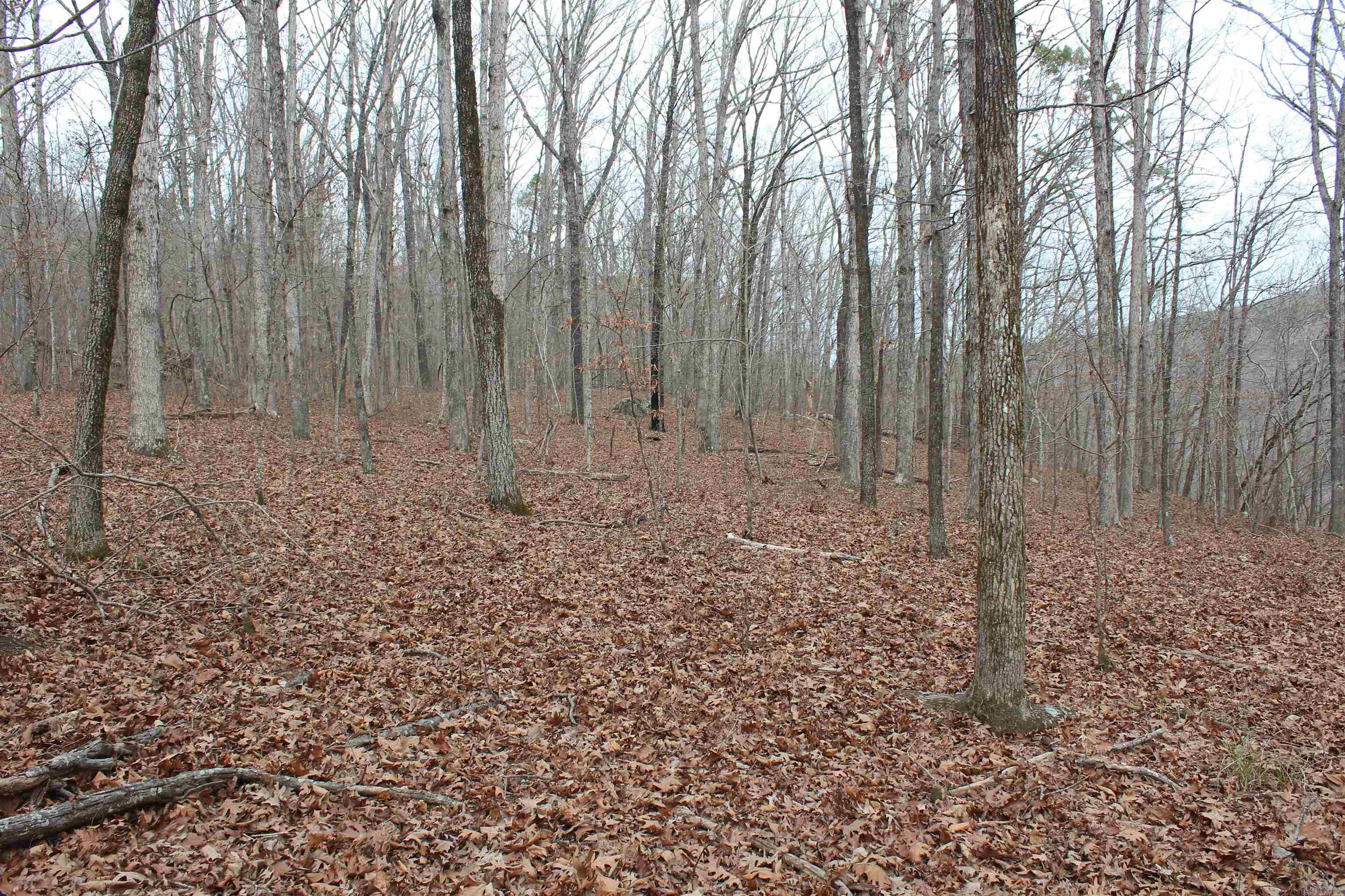 000 Old Brewer Rd Property Photo 21