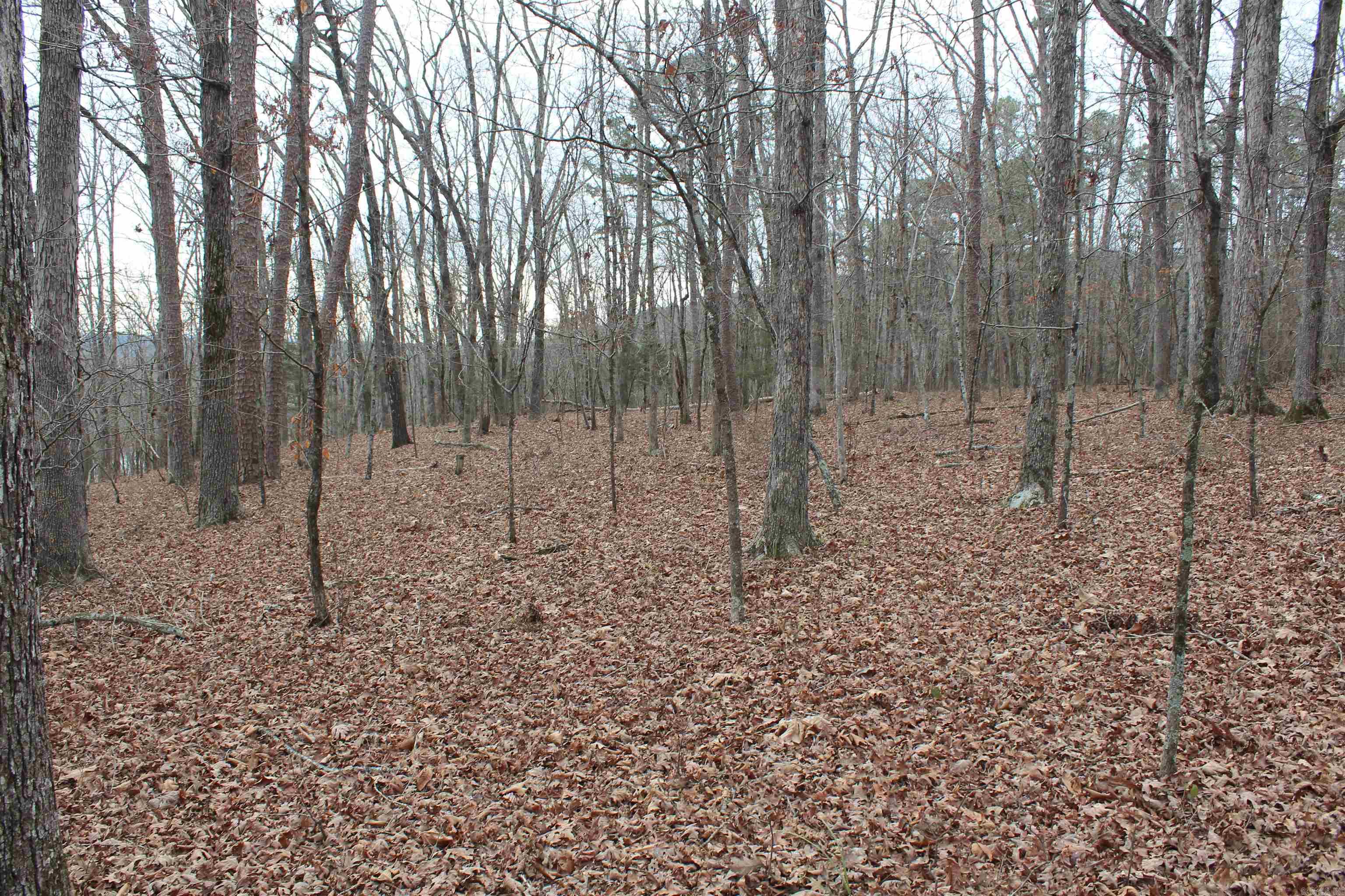 000 Old Brewer Rd Property Photo 26