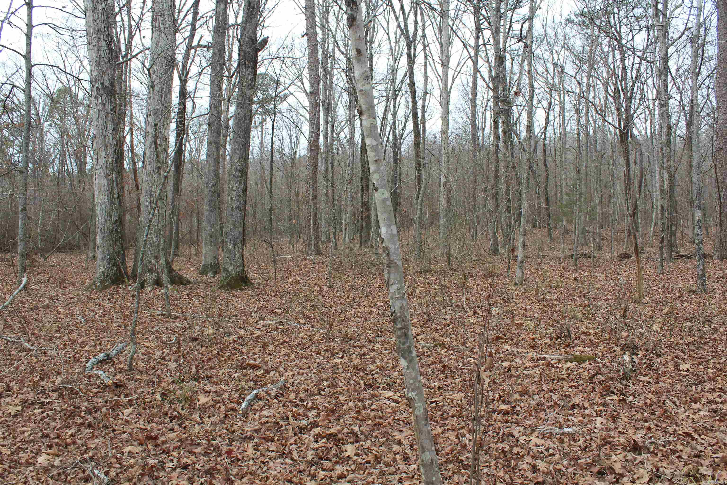 000 Old Brewer Rd Property Photo 27