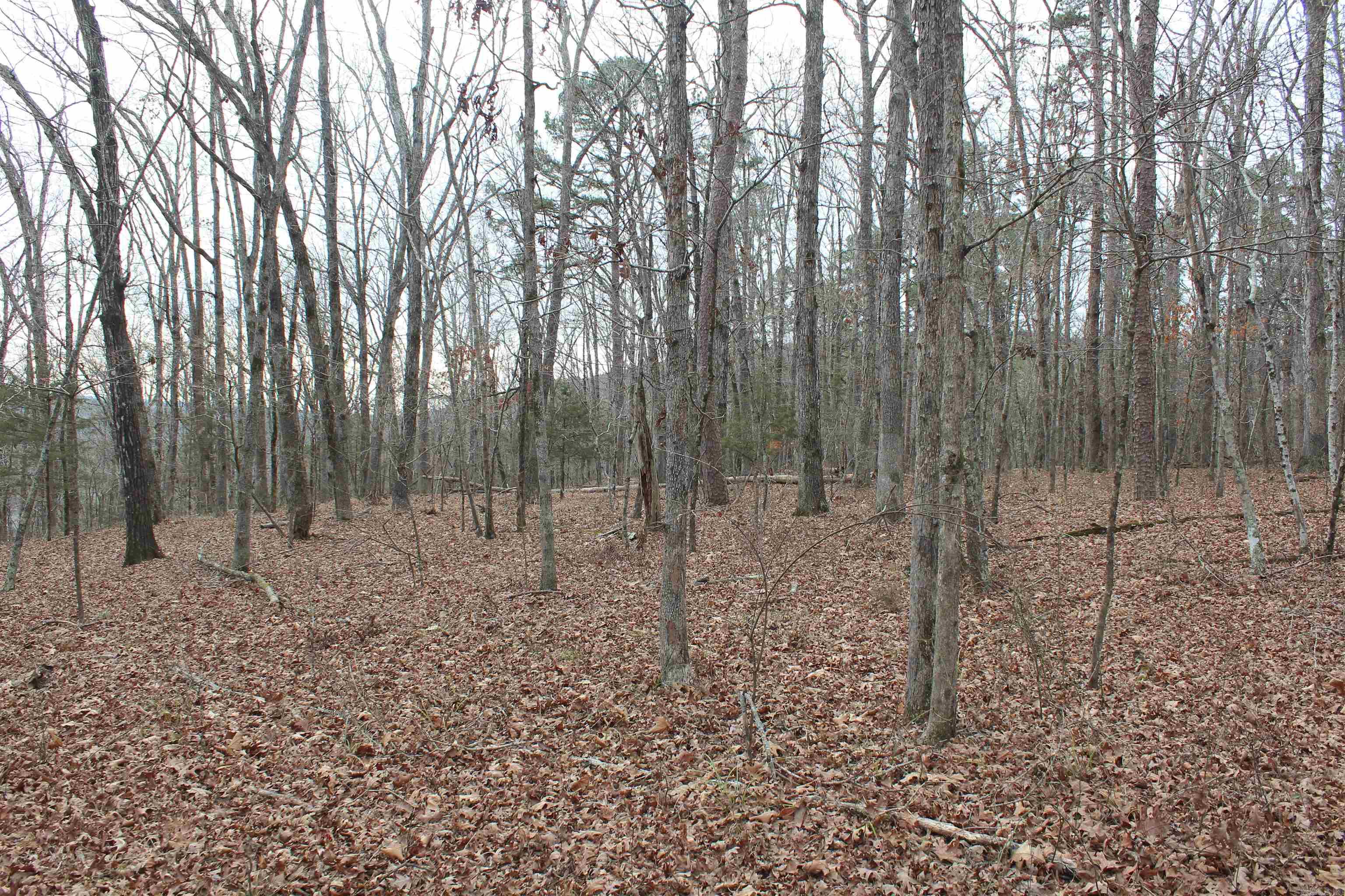 000 Old Brewer Rd Property Photo 28