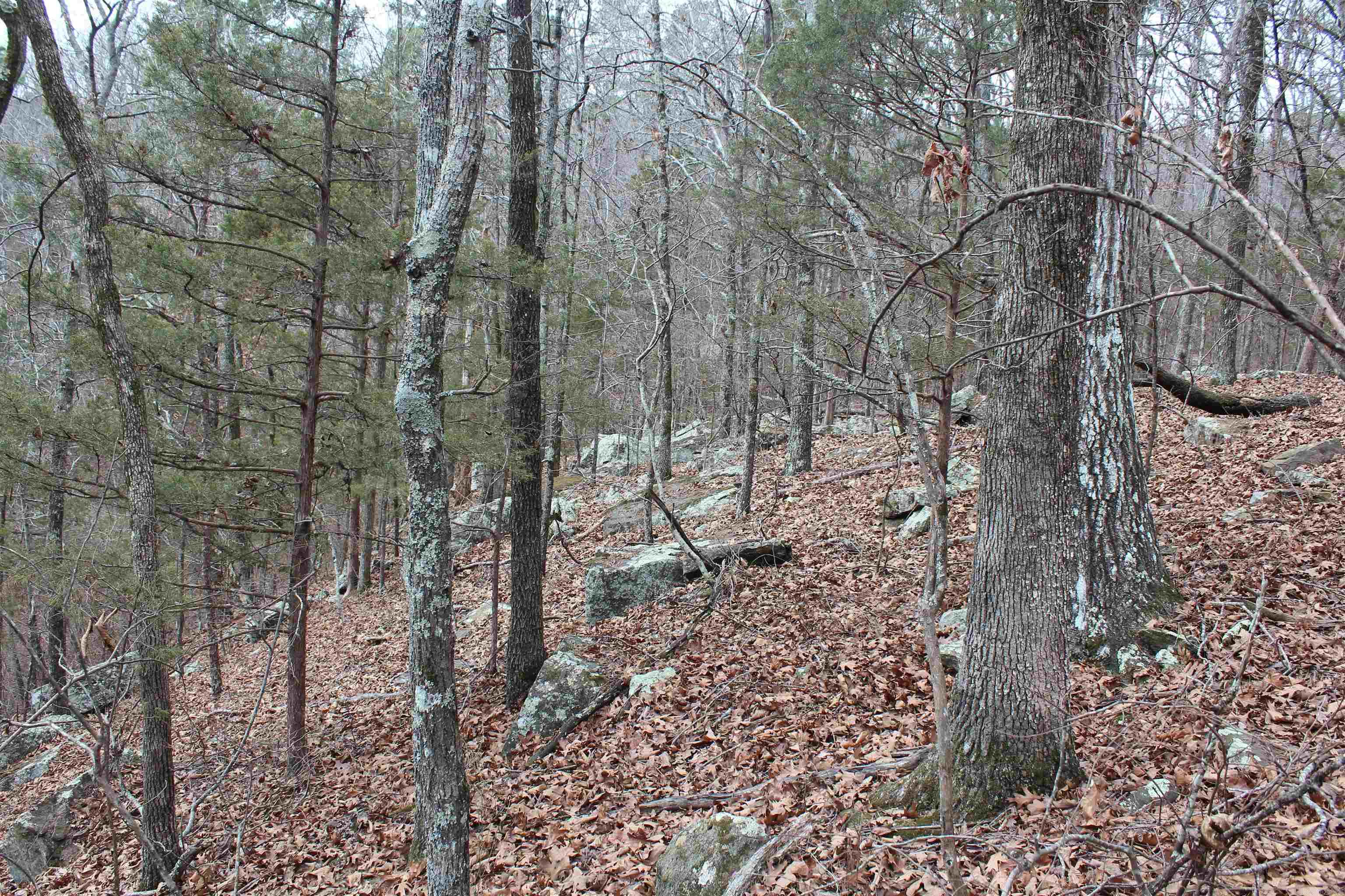 000 Old Brewer Rd Property Photo 34