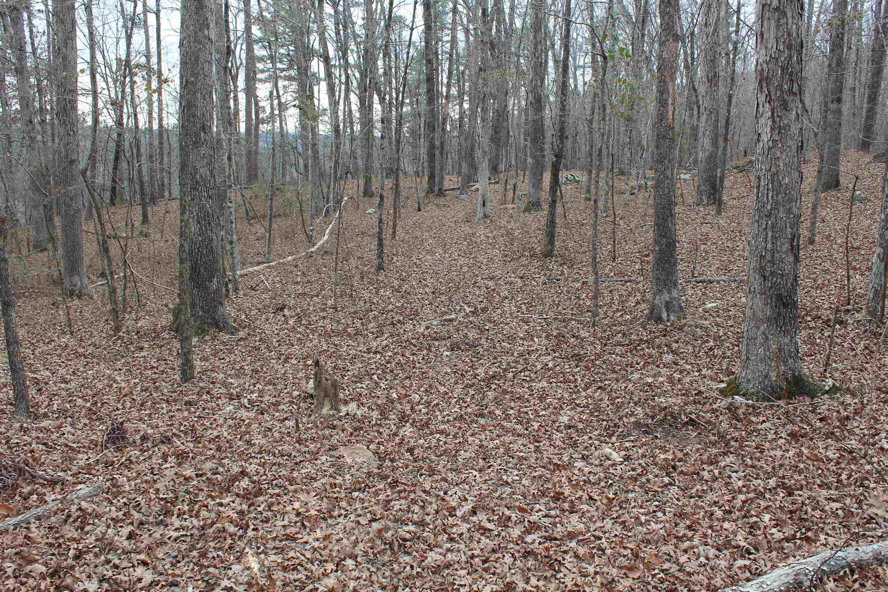 000 Old Brewer Rd Property Photo 40