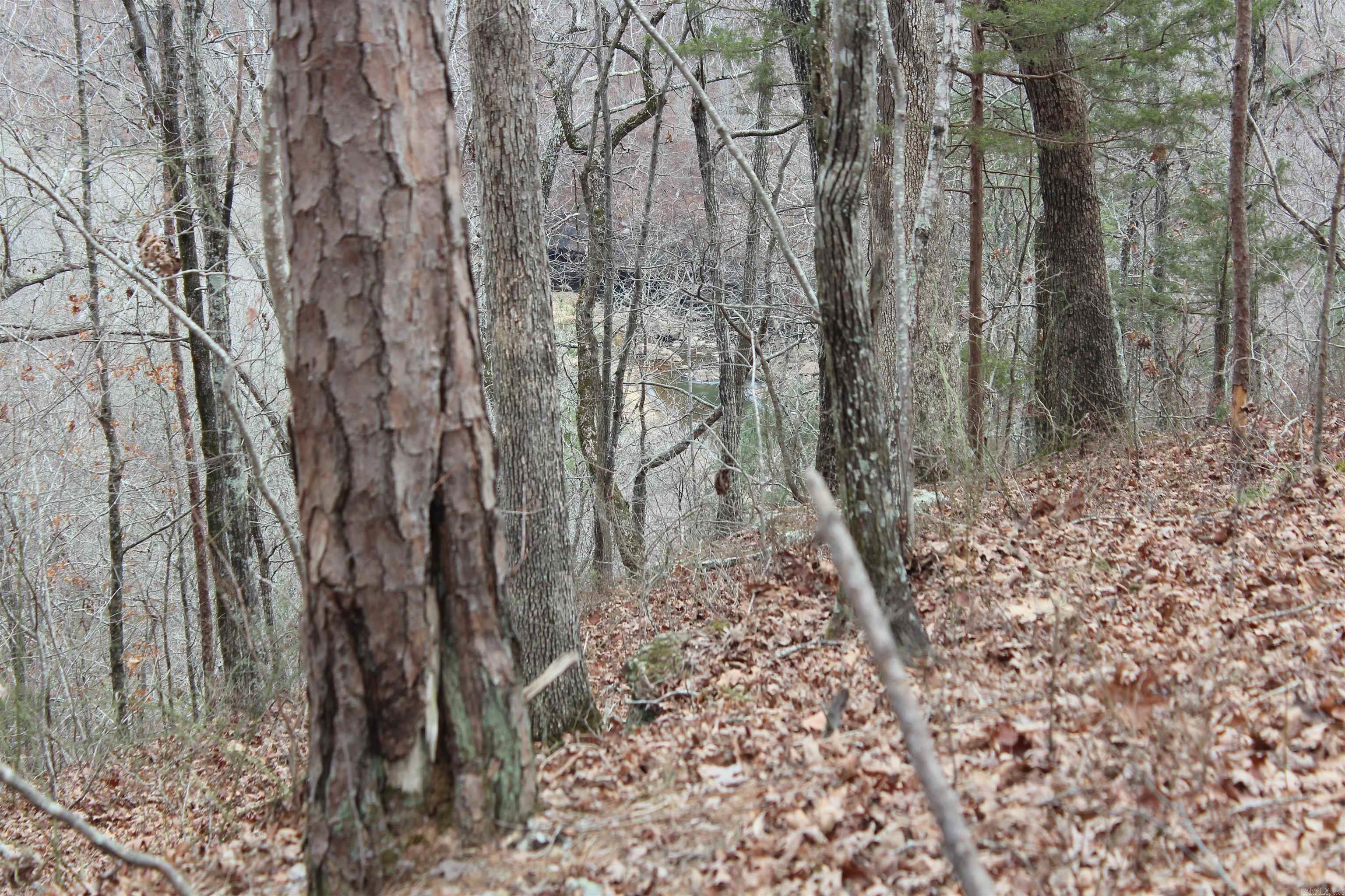 000 Old Brewer Rd Property Photo 42